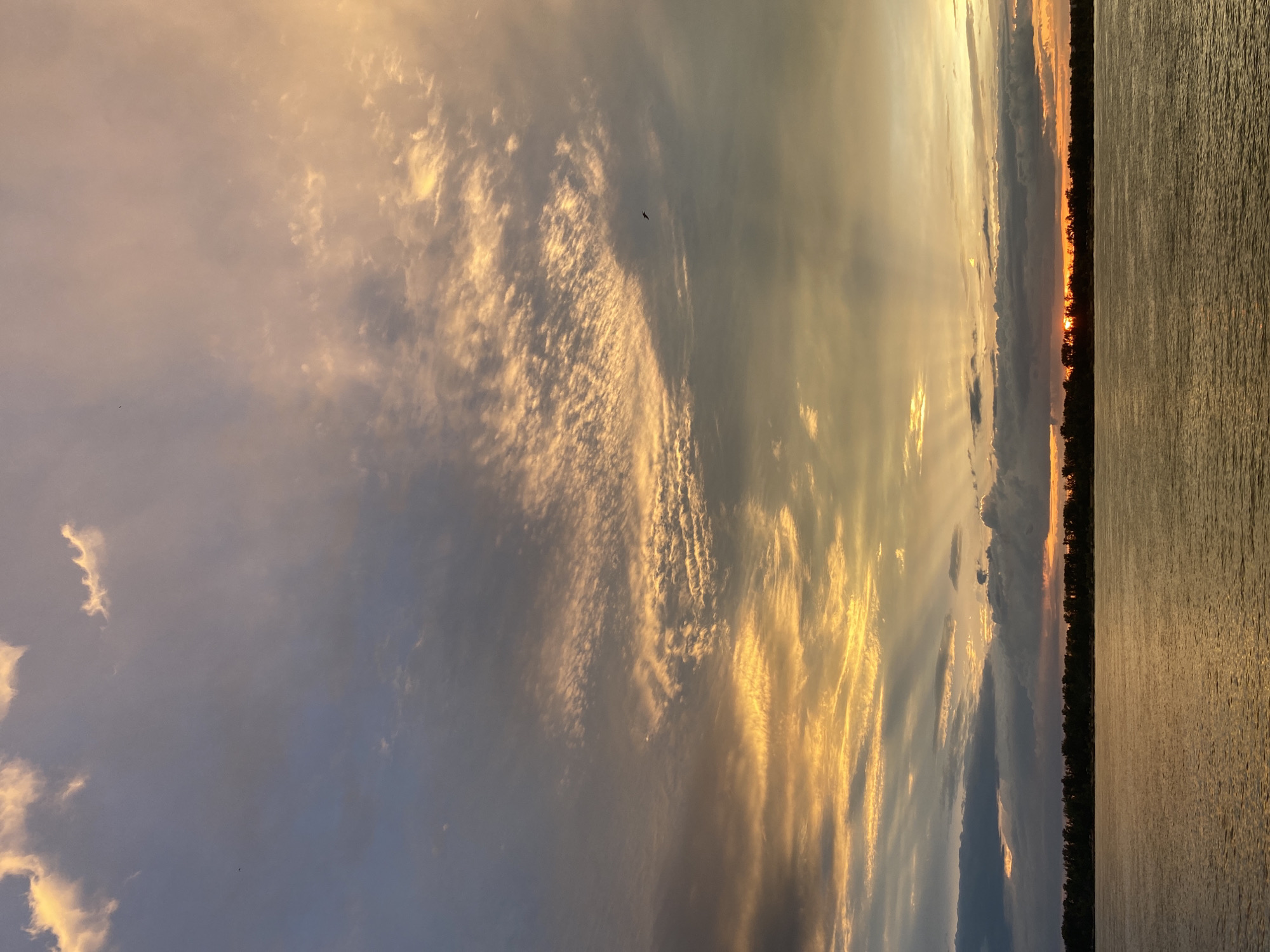 The image depicts a sunset over a body of water, likely a river, with a treeline on the distant shore. The sky is filled with dramatic clouds tinged with shades of orange, yellow, and gray, illuminated by the setting sun which is partially obscured by the horizon. Rays of light pierce through the clouds, creating a striking visual effect. A single bird is visible in flight against the colorful sky. The water's surface reflects the warm hues of the sunset. The scene appears to be a natural landscape, possibly a park or a waterfront area. The location is identified as Novokuybyshevsk, Russia.