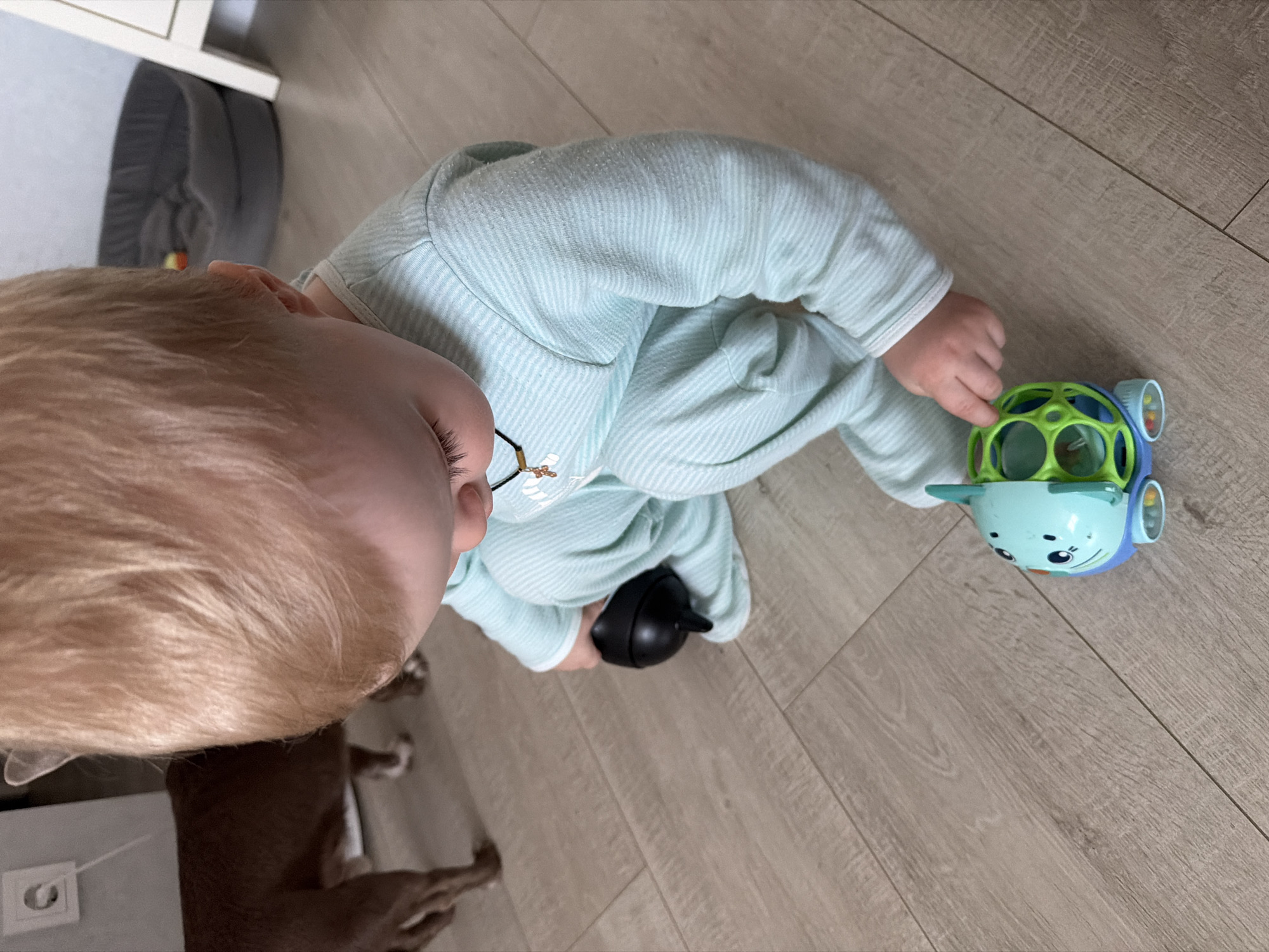 An interior scene from Votkinsk, Russia, depicts a young child, likely a toddler, with light blonde hair, squatting or kneeling on a light wood-patterned floor. The child is dressed in a light blue and white striped long-sleeved romper or pajamas, and a small brown cross pendant on a dark cord is visible around their neck. The child's focus is directed downwards towards two toys. Their right hand is positioned near a multi-colored toy resembling an aquatic creature with a light blue head, a green open-lattice body, and wheels. Their left hand holds a small black, bell-shaped object. In the upper left background, the hindquarters and rear legs of a brown dog are partially visible as it walks away from the camera. The background also shows a light-colored wall with a white electrical outlet mounted on it. A grey, circular pet bed is visible on the floor in the mid-background, with a small yellow and red object inside it. A portion of a white furniture piece is also visible on the far right.
