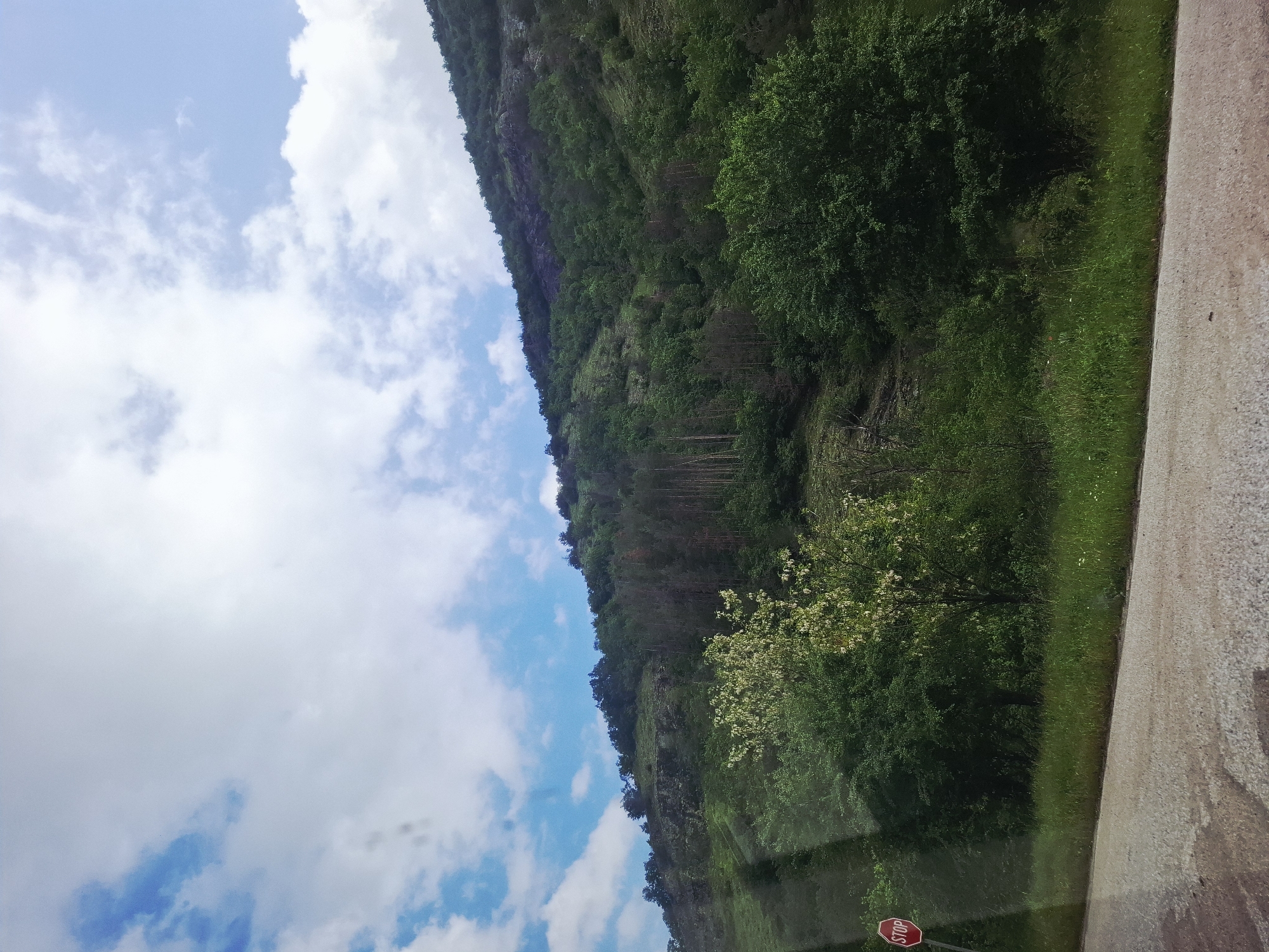 A serene daytime landscape, likely viewed from a vehicle, depicts a mountainous, rural scene in Hvoina, Bulgaria. The upper portion of the image features a bright blue sky dotted with scattered, fluffy white clouds.
Below the sky, a large, verdant mountain or steep hillside dominates the middle ground, densely covered with lush green trees. The foliage varies in shade, with some areas appearing as darker, mature forests and others showing lighter green growth. Tree trunks are visible on parts of the slope, suggesting a mix of deciduous and coniferous trees.
In the foreground, a paved road or shoulder stretches along the bottom, bordered by a strip of vibrant green grass. A small, red octagonal "STOP" sign with white lettering is partially visible in the bottom-left corner of the frame, hinting at a road intersection or a specific vantage point from a vehicle. The bright, even lighting suggests it is mid-day, under clear and pleasant weather conditions. No people are visible, emphasizing the natural tranquility of the scene.