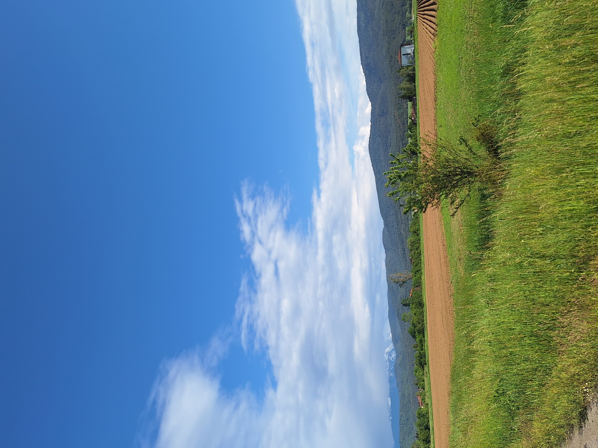 The image depicts a rural scene with a vibrant blue sky partially covered by white clouds. To the right of the sky, a mountain range extends vertically. The lower slopes of the mountains are green, while the peaks show traces of snow. At the base of the mountains, a strip of cultivated brown soil suggests agricultural activity. To the right of the cultivated land, there is a patch of lush green grass. A small tree is positioned between the field and the grassy area. The location is in the vicinity of Belchinski Bani, Bulgaria. There are no people visible in the image.
