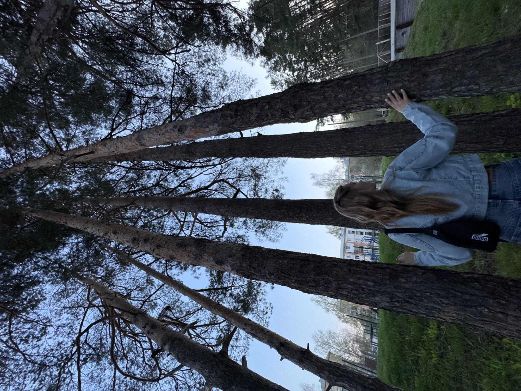 The image, taken in Chaikovsky, Russia, shows a person standing among tall trees in an outdoor environment. The individual, likely a young woman, is wearing a denim jacket and jeans. She has long, light brown hair. She is standing close to the trees, with her hand touching the bark of one of the trees. A black Puma bag is slung across her shoulder. The trees are tall and bare-branched, reaching up toward a light blue sky. In the background, there's a glimpse of a building with windows and a grassy area, suggesting this is a park or a wooded area within the city. The scene appears to be captured during the daytime, likely in the late afternoon or early evening, given the soft light.
