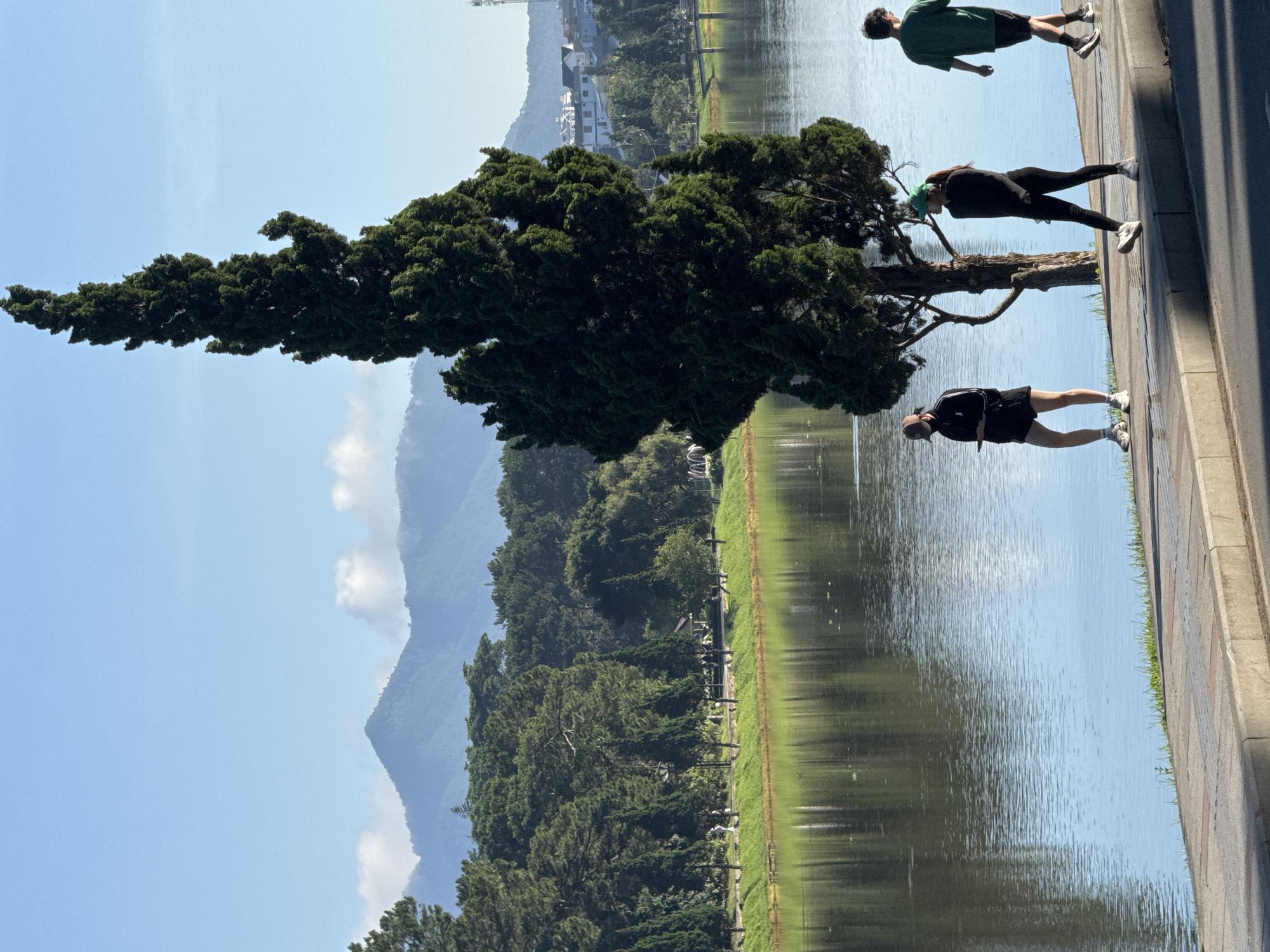 In the city of Da Lat, Vietnam, a serene morning scene unfolds by a tranquil lake. The sun casts long shadows across a paved walkway bordering the water, where three individuals are engaged in leisurely activity. On the left, a person wearing a black athletic outfit and a brown cap walks with their phone in hand. To their right, a second person, dressed in black activewear and a green cap, strolls with a purposeful stride. Completing the trio, a third individual in a green t-shirt and black shorts walks away from the camera.
Dominating the mid-ground is a tall, slender cypress tree, its dark green foliage a stark contrast against the clear blue sky. Behind the tree, the lake stretches out, its surface reflecting the lush greenery of trees that line its banks and the distant, mist-shrouded mountains. The far shore is dotted with trees, and further still, the roofs of houses and buildings suggest the presence of the city. The overall atmosphere is one of peaceful morning recreation in a picturesque natural setting.