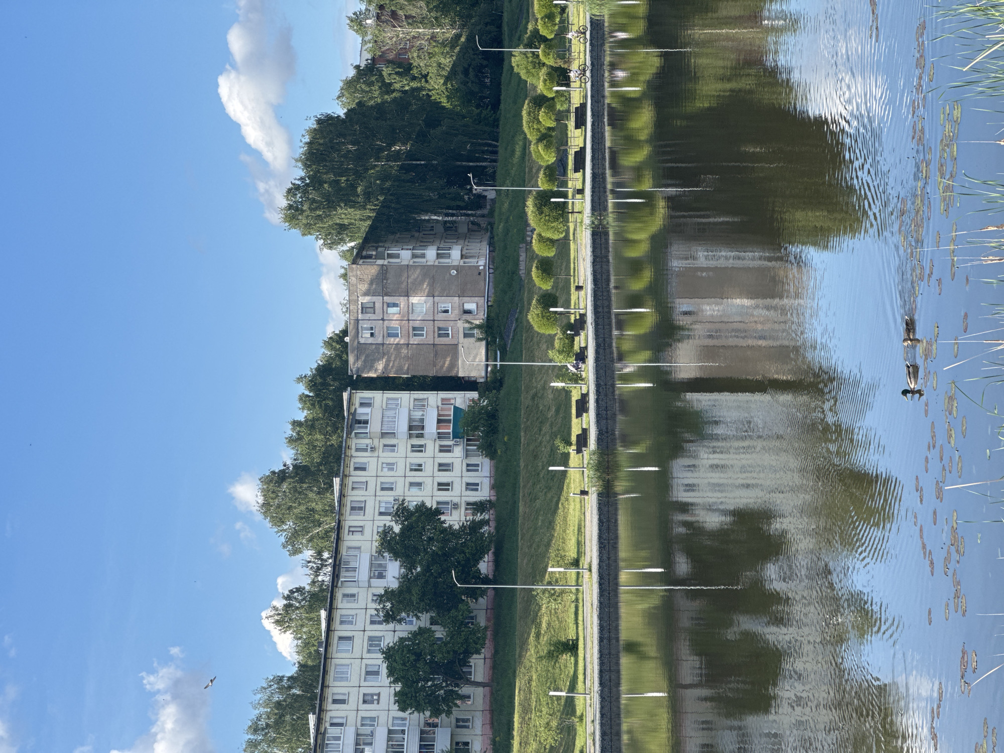 The image shows a partially overcast sky above a lake or wide river next to a grassy bank in what is identified as Votkinsk, Russia. Along the bank is a tall apartment building, interspersed with mature trees. A row of topiary shrubs lines a walkway or road that parallels the bank. Streetlights are spaced regularly along the walkway. The water is reflecting the building, trees, shrubs, and streetlights. In the water, there are aquatic plants visible, and a pair of ducks is swimming.