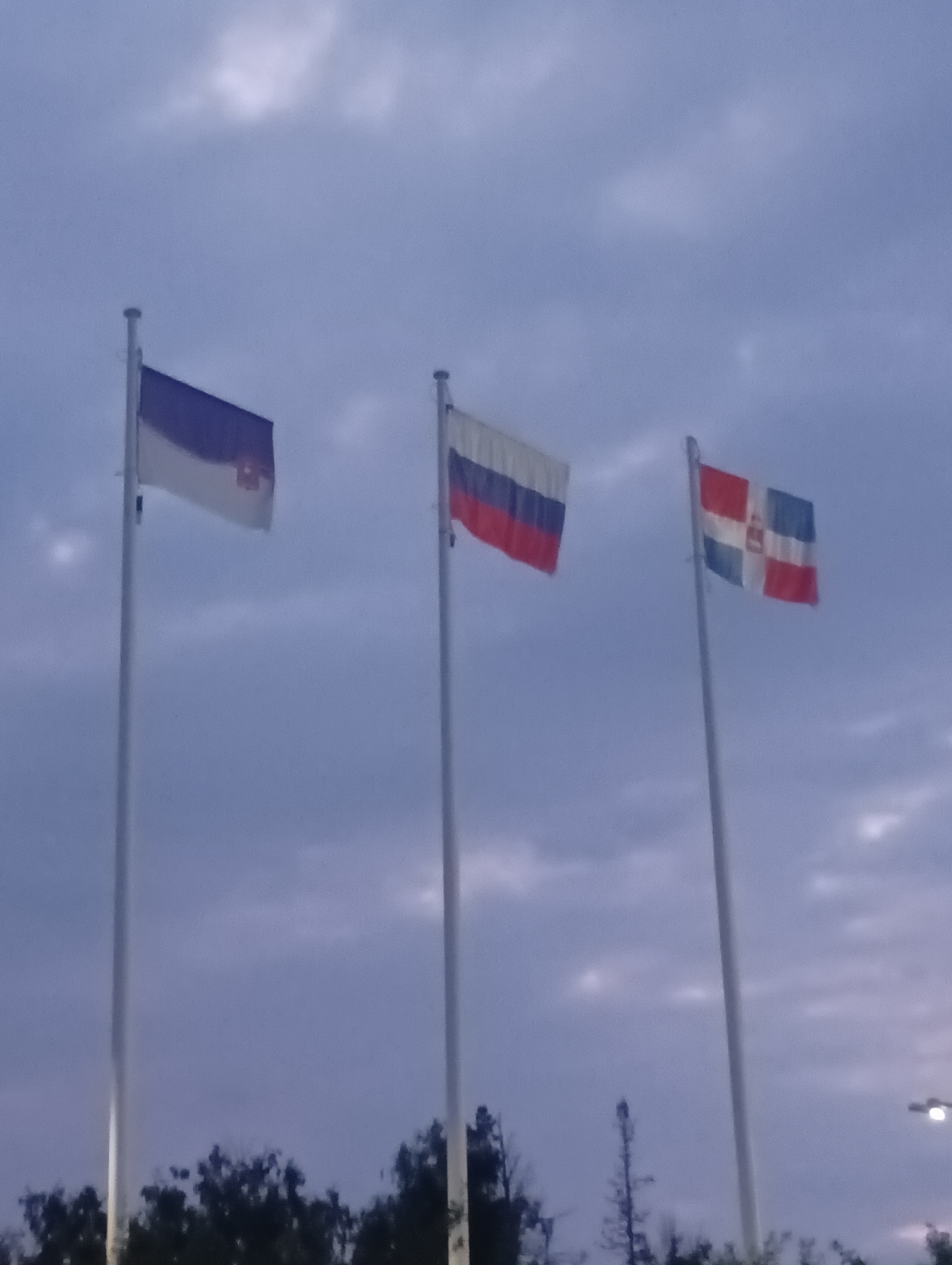 The image shows three flags flying on flagpoles against a cloudy sky. The flags are of different designs. The leftmost flag is predominantly white with a blue stripe across the top and a smaller, darker emblem in the center. The middle flag is a tricolor with horizontal stripes of white, blue, and red, from top to bottom. The rightmost flag has a red and blue checkered pattern with a white cross overlaying it. In the foreground, silhouetted trees are visible against a dark horizon. The overall lighting suggests it is either dawn or dusk. The location is described as Прикамский, Russia.
