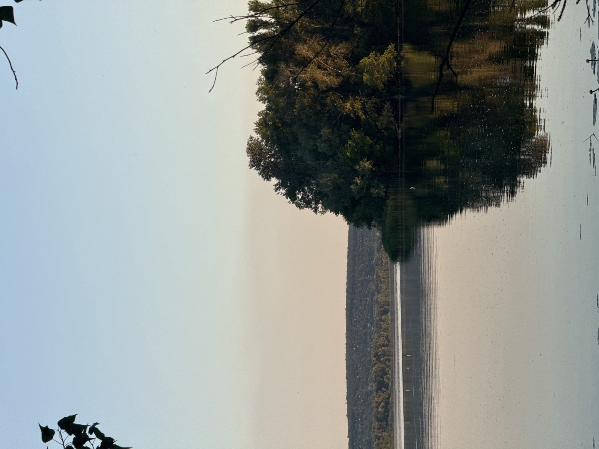 The image depicts a tranquil natural landscape with a wide river in the foreground, reflecting the sky and surrounding vegetation. On the right side of the river, a dense, lush forest of deciduous trees covers a small island or peninsula that juts out into the water. The trees are a vibrant green, with some areas catching the warm light of what appears to be either sunrise or sunset, creating dappled highlights. In the background, a rolling, wooded hillside stretches across the horizon, partially obscured by mist or haze. The sky above is a soft gradient of pale blue near the top, transitioning to a warm, peachy hue near the horizon. The surface of the river is mostly calm, with gentle ripples disturbing the reflection of the trees and sky. A few small, white objects, possibly buoys or debris, are visible on the water's surface in the middle ground. The scene is framed on the left and top by the silhouetted branches and dark leaves of trees, suggesting the viewpoint is from the riverbank or a nearby elevated position. The overall impression is one of peaceful serenity. The location is the Dnipro River near the village of Obukhivka, Dnipropetrovsk Oblast, Ukraine.