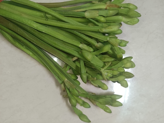 The image displays a close-up of a quantity of freshly harvested green plant stalks with unopened buds, resting on a light-colored, reflective surface. Numerous elongated, vibrant green stalks, some displaying subtle reddish-brown tints along their length, are loosely arranged and partially overlap, extending across the frame. Each stalk terminates in a cluster of small, pale green, elongated, and pointed buds. These buds are tightly grouped, forming distinct heads at the end of the shoots. The supporting surface is a smooth, light gray or off-white material, possibly a tiled countertop, exhibiting minor reflections and subtle variations in tone. No individuals, specific actions, or contextual elements are visible. The location within the city of Gotha, Germany, cannot be determined from the visual data presented in this image.