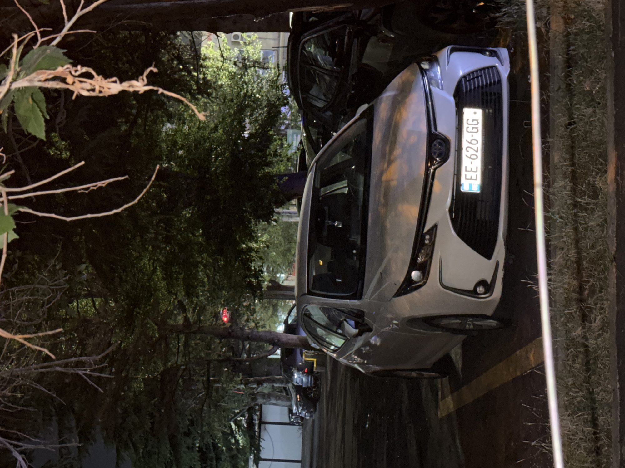 A white Toyota Corolla is parked at night in a dimly lit outdoor parking lot. The car has a license plate that reads "EE-626-GG". In the background, several other cars are parked, and trees with dense foliage are visible, some with branches extending into the foreground. The ground is paved and marked with yellow parking lines. A white horizontal bar runs across the bottom of the image, and grass is visible beneath it. The overall scene suggests an urban setting, possibly in Tbilisi, Georgia, given the license plate format. There are no people or animals visible in the image.