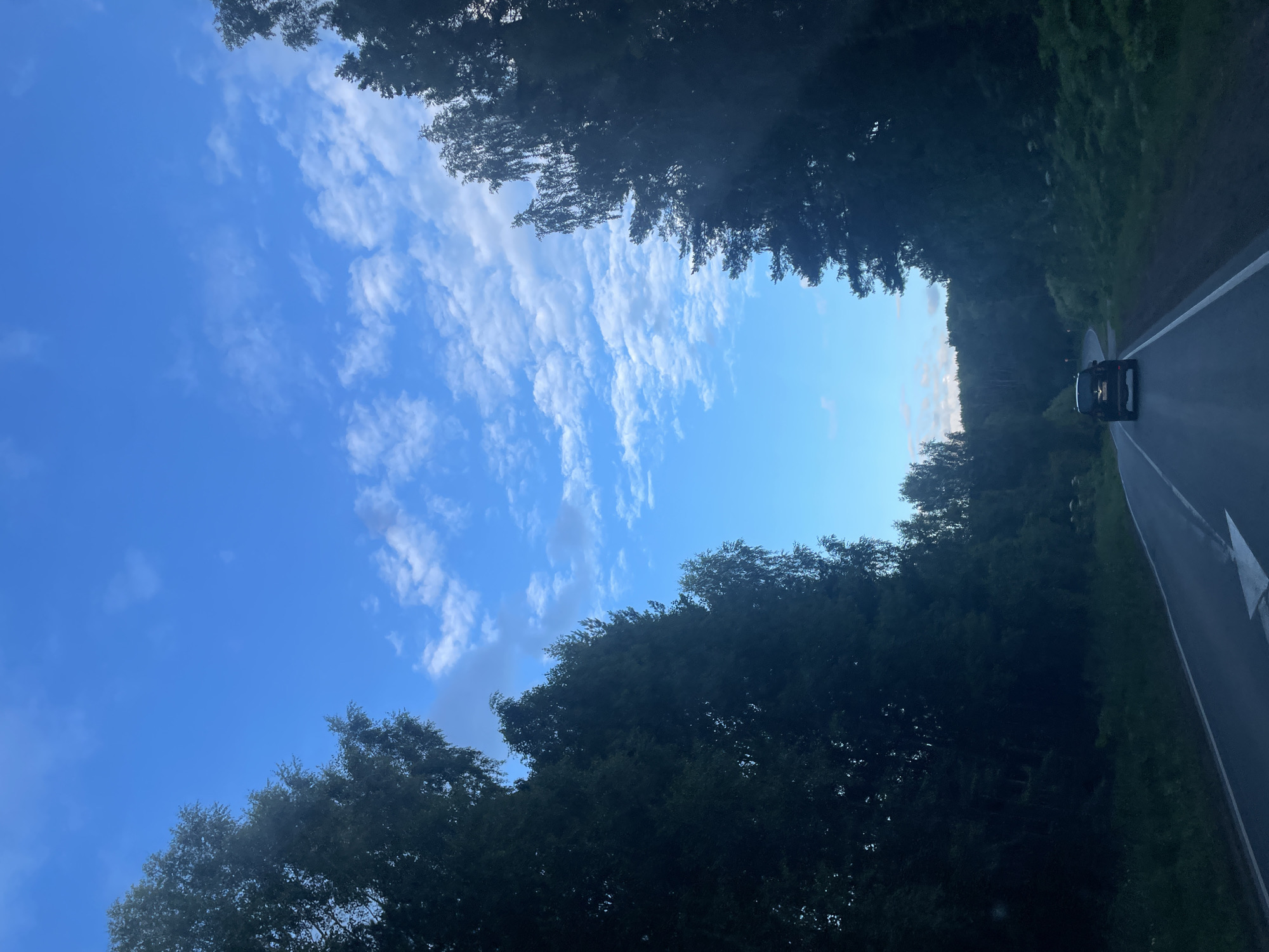 The image shows a view from a vehicle traveling on a road bordered by dense trees. The sky is bright blue with scattered white clouds, suggesting it is daytime. The road curves slightly to the right, and a dark-colored car is visible ahead, also traveling in the same direction. The trees on either side of the road create a tunnel-like effect, with their foliage obscuring much of the background. The lighting suggests it could be late afternoon or early evening, as the light appears somewhat soft and diffused. The scene conveys a sense of journey and the natural beauty of a tree-lined road in a rural setting. No text is visible in the image.
