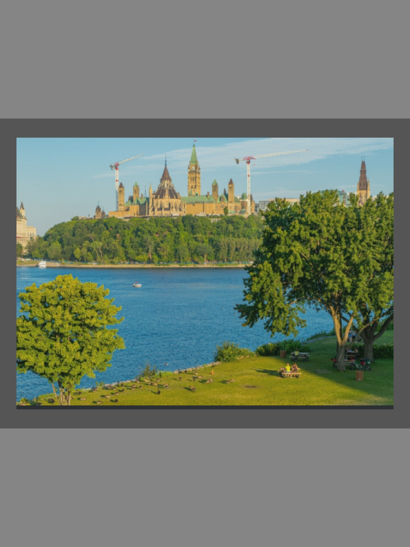 This panoramic image captures a scenic view of Ottawa, Canada, showcasing Parliament Hill overlooking a wide body of water, likely the Ottawa River. The scene is bathed in the warm, golden light characteristic of late afternoon or early evening, creating long shadows and highlighting architectural details.
In the foreground, a vibrant green grassy park stretches along the riverbank. Several large, leafy trees with bright green foliage are prominent, with two particularly large trees dominating the right side of the frame. On the right, two people are visible seated on a park bench under the shade of a tree, alongside two parked bicycles and a picnic table. On the left side of the park, closer to the water, a flock of Canada geese is scattered across the grass, and a red traffic cone is visible. The calm, blue river occupies the mid-ground, with a small white boat visible in the distance.
Across the river, the iconic Gothic Revival architecture of the Parliament of Canada buildings stands majestically on a tree-covered hill. The Peace Tower, along with other sections of the Centre, East, and West Blocks, are clearly distinguishable, illuminated by the low sun. Several large construction cranes are conspicuously visible towering above and behind the Parliament buildings, indicating ongoing development or renovation. To the far left, a light-colored building is partially seen, and to the far right, a distinct dark-spired building rises above the distant tree line. The sky is a clear, bright blue with very few clouds, contributing to the overall serene and picturesque atmosphere. No discernible text is visible in the image.
