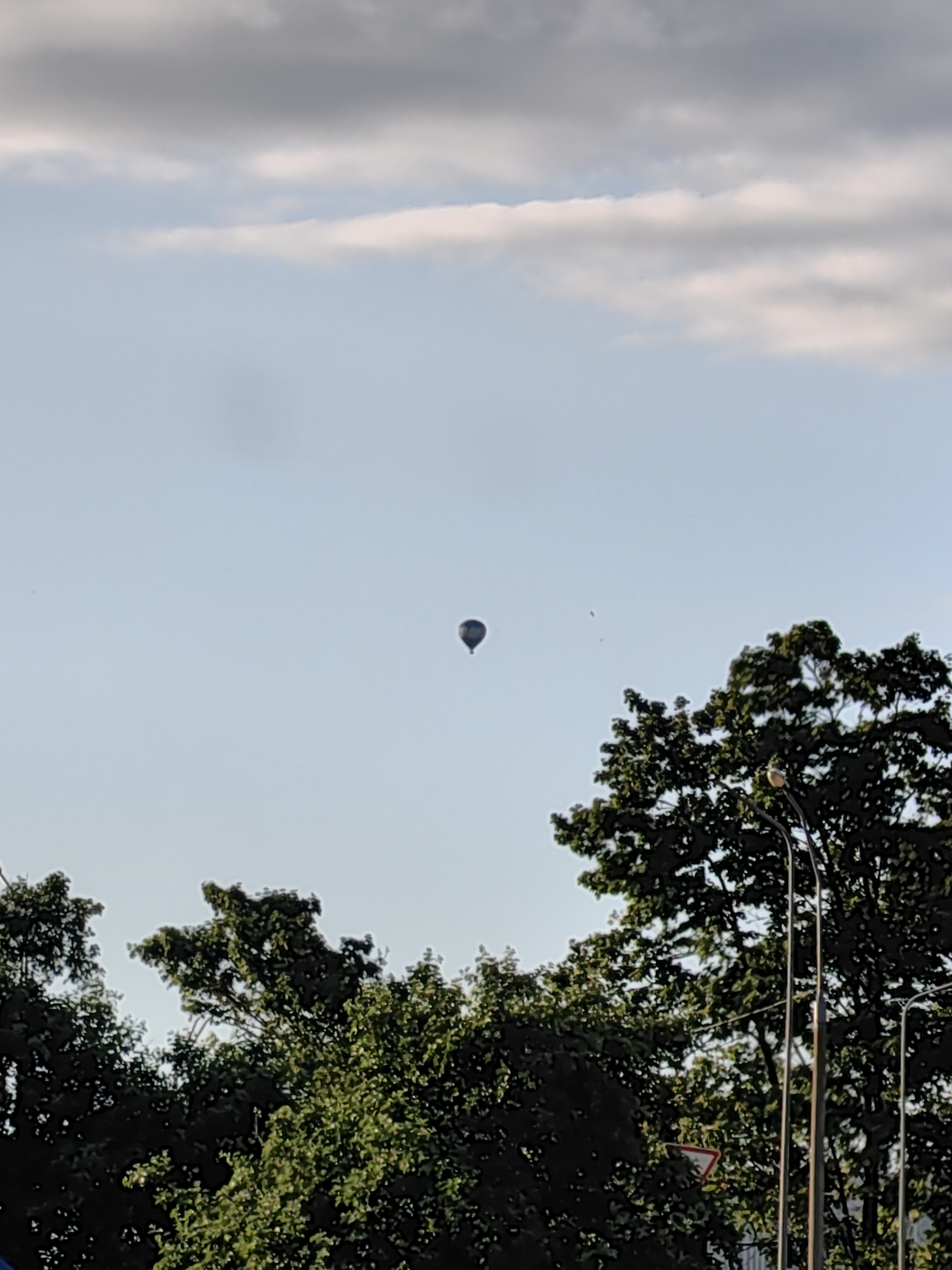 A hot air balloon is visible in the pale blue sky, high above a dense canopy of green trees. The balloon is dark in color and appears to be a rounded shape, with a darker section that may be a basket. In the foreground, the tops of several trees are prominent, their leaves forming a thick, textured pattern against the sky. A streetlight with a single lamp is also visible on the right side of the image, extending upwards through the trees. A small, triangular traffic sign with a red border is situated lower down on the right, partially obscured by foliage. The overall scene suggests an outdoor, possibly park-like setting, with the hot air balloon providing a distant focal point against the natural elements.