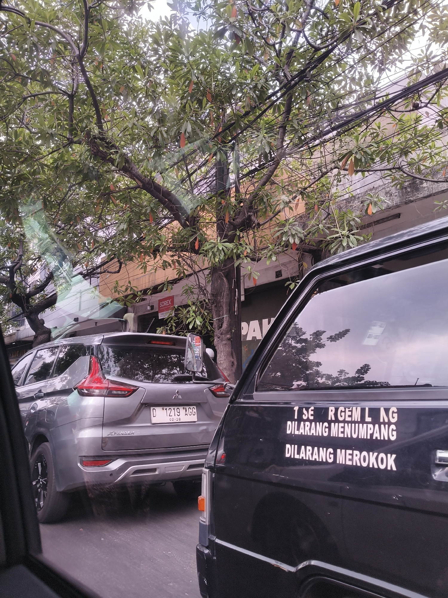 The image captures a street scene in Bandung City, Indonesia, likely during the daytime. The foreground features the side of a black vehicle, with white text emblazoned on its door. This text reads "1 SE R GEM L AG DILARANG MENUMPANG DILARANG MEROKOK", which translates to "1 Passenger Only, No Hitchhiking, No Smoking". A silver Mitsubishi Xpander with license plate number D 1219 AGG is visible in the background, parked or moving slowly on the road. The Xpander has a "SOREX" logo visible on a building behind it.
Above the vehicles, a large tree with green leaves and some orange fruit or seed pods partially obscures the view of buildings and overhead electrical wires. The buildings appear to be commercial or residential, with one having an orange facade. The overall impression is a typical urban street environment, possibly a bit congested, with traffic and everyday city life elements. There are no people clearly visible in the image. The lighting suggests it's a cloudy day or that the light is diffused by the tree canopy.