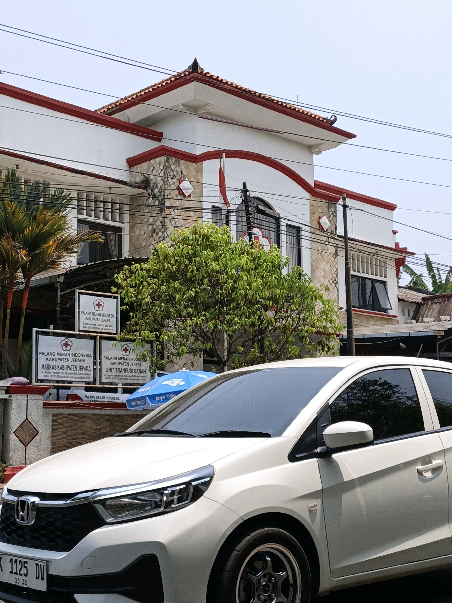 The image shows a white Honda Brio parked on a street in front of a building with red and white trim. Several signs with "PALANG MERAH INDONESIA KABUPATEN JEPARA" are visible, indicating the location is a Palang Merah Indonesia (Indonesian Red Cross) facility in Jepara Regency, Kuwasen, Indonesia. The building has stone accents and a tiled roof. A tall green tree is in front of the building, and palm trees are to the left. Overhead power lines are visible against a bright sky. The car's license plate reads "DK 1125 DV." A blue umbrella with the "Kopi Tirop" logo is partially visible in the foreground.