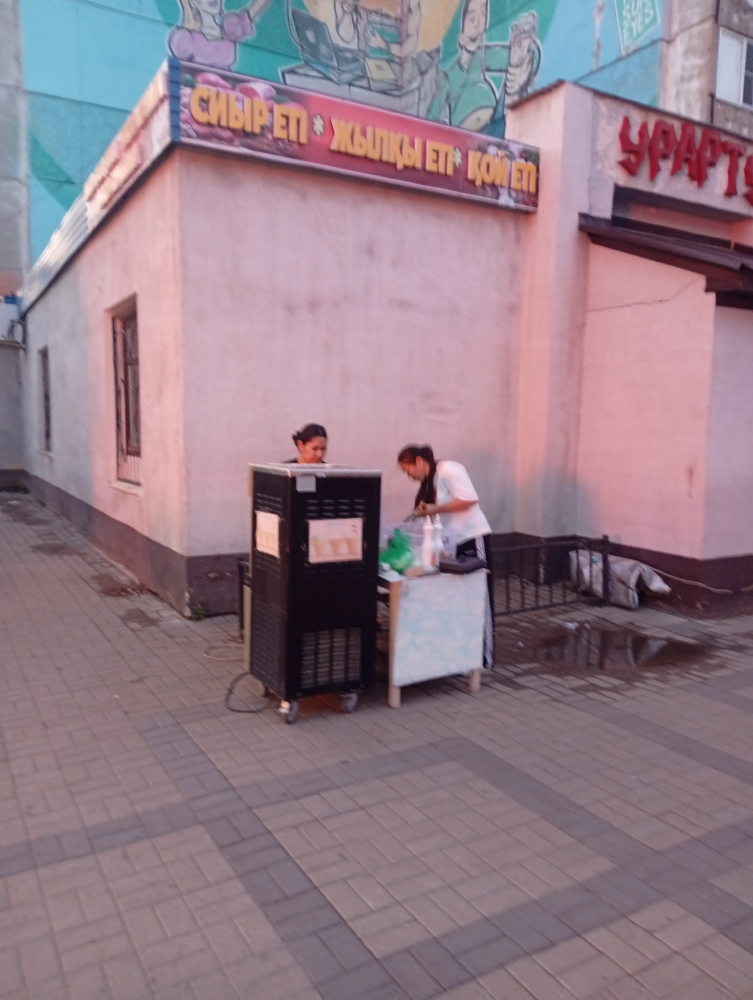 This is a medium shot, taken from a slightly elevated angle, of a storefront in Oral, Kazakhstan. The building is painted a pale pink and has a dark brown trim. Above the storefront, a brightly colored mural depicting cartoon characters is visible. A sign with red Cyrillic lettering reads "УРАРТС" on the right side of the building, suggesting a business name.
In front of the building, a paved walkway is visible, with rectangular paving stones in shades of grey and beige. To the left, a black refrigerator unit with a metallic grille is positioned on the walkway. Two women are present near the storefront. One woman, wearing a dark top, is standing behind the refrigerator. The second woman, wearing a white t-shirt and dark athletic pants, is leaning over a table set up in front of the refrigerator. The table has a blue and white patterned cloth and appears to hold various items, including a green plastic bag and bottles. The overall lighting suggests it is late afternoon or early evening.