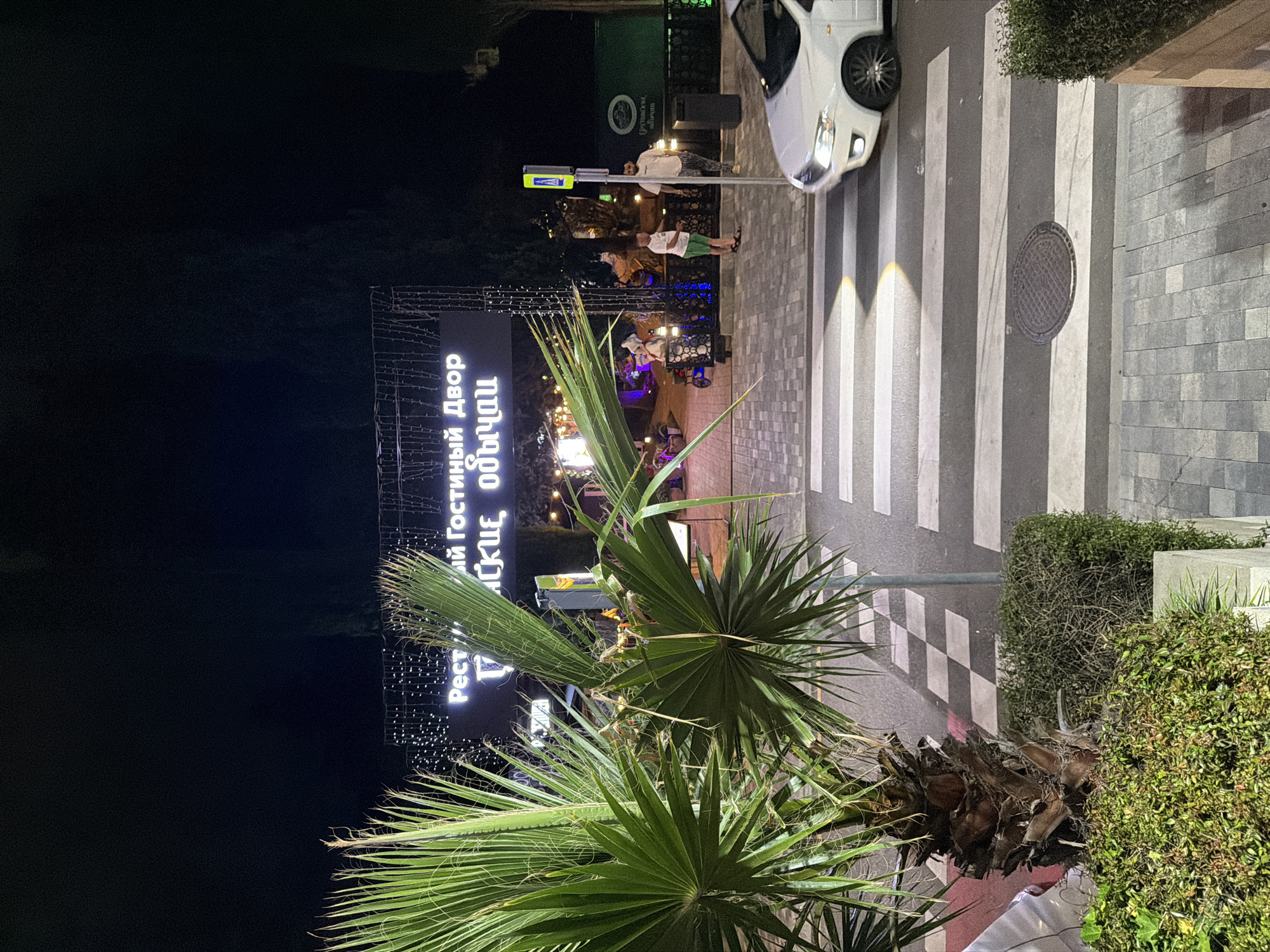 This is a night-time outdoor scene in Sochi, Russia, likely near a pedestrian crossing. In the foreground, lush green palm fronds dominate the lower portion of the frame, obscuring some of the background. Beyond the foliage, a white car is partially visible, its headlights illuminating a pedestrian crossing.
The crossing itself is marked with wide white stripes, and the road surface appears to be paved with grey stones. A pedestrian signal pole with a yellow and green light stands near the crossing, and two people are visible standing on the sidewalk next to it. One person is wearing a light-colored shirt and dark pants, while the other wears a white shirt and green shorts.
In the background, a large illuminated sign is visible, partially obscured by the palm trees. The text on the sign appears to be in Cyrillic script and reads "Рест Гостиный Двор" and "Российское Обычаи". The scene suggests a lively area, possibly a resort or entertainment district, with decorative string lights visible in the background, adding to the festive atmosphere. The time of day is clearly night, as indicated by the darkness and the artificial lighting. The weather is not discernible from the image.