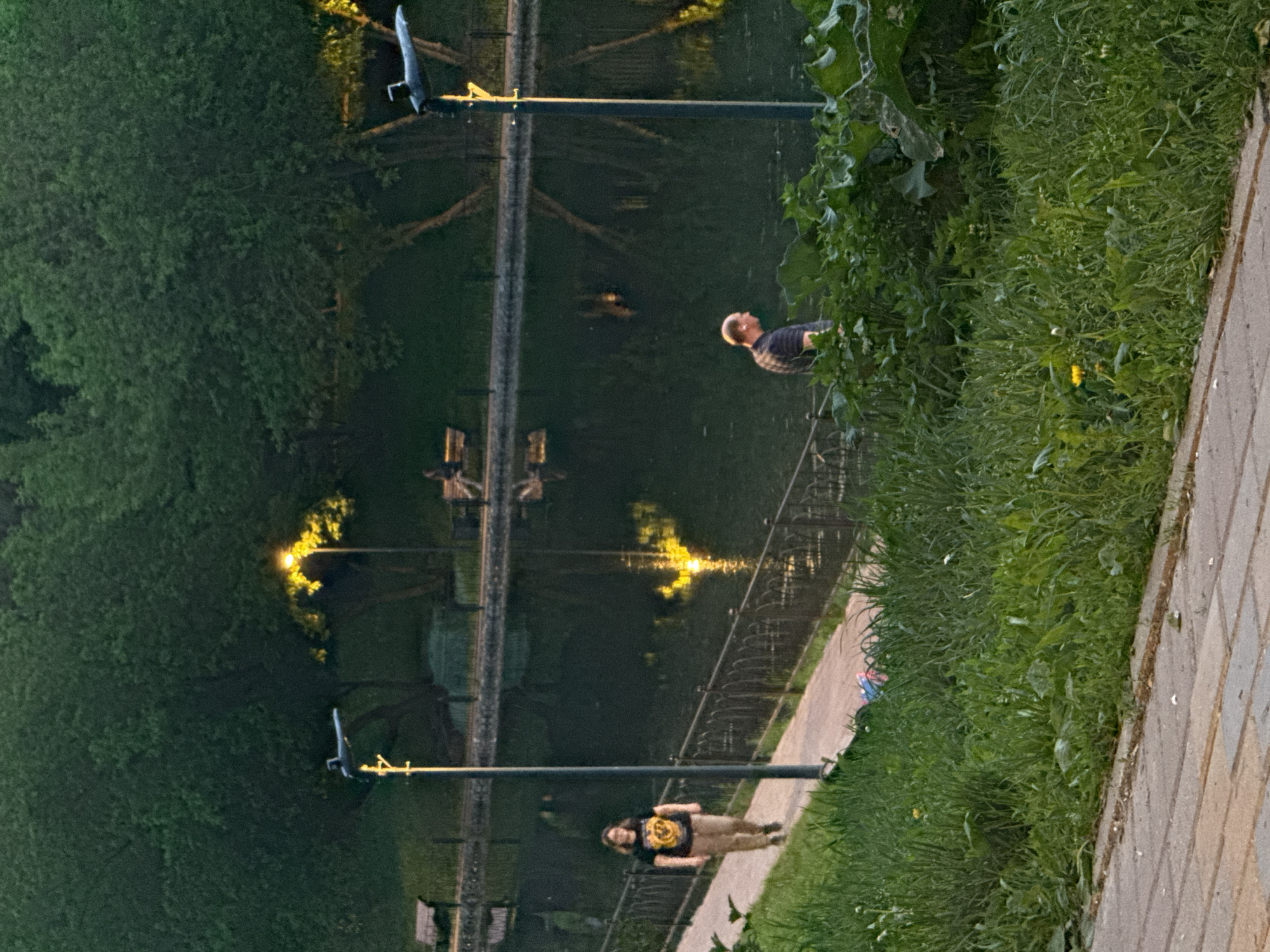A long shot captures a park setting, possibly in Moscow, Russia, based on the architectural style and vegetation. The scene is characterized by a body of water reflecting ambient light and the surrounding trees and streetlights. On the right side of the frame, a brick-paved walkway is lined with lush grass and various plants, suggesting a well-maintained park environment. Two people are present: one closer to the camera, wearing a graphic t-shirt and light pants, and another individual partially obscured by foliage. The latter appears to be wearing a checkered shirt. The interaction between these individuals is not apparent. The lighting conditions suggest either early morning or late evening. The vertical orientation of the picture, combined with the reflections on the water, create a somewhat distorted or inverted perspective of the scene.
