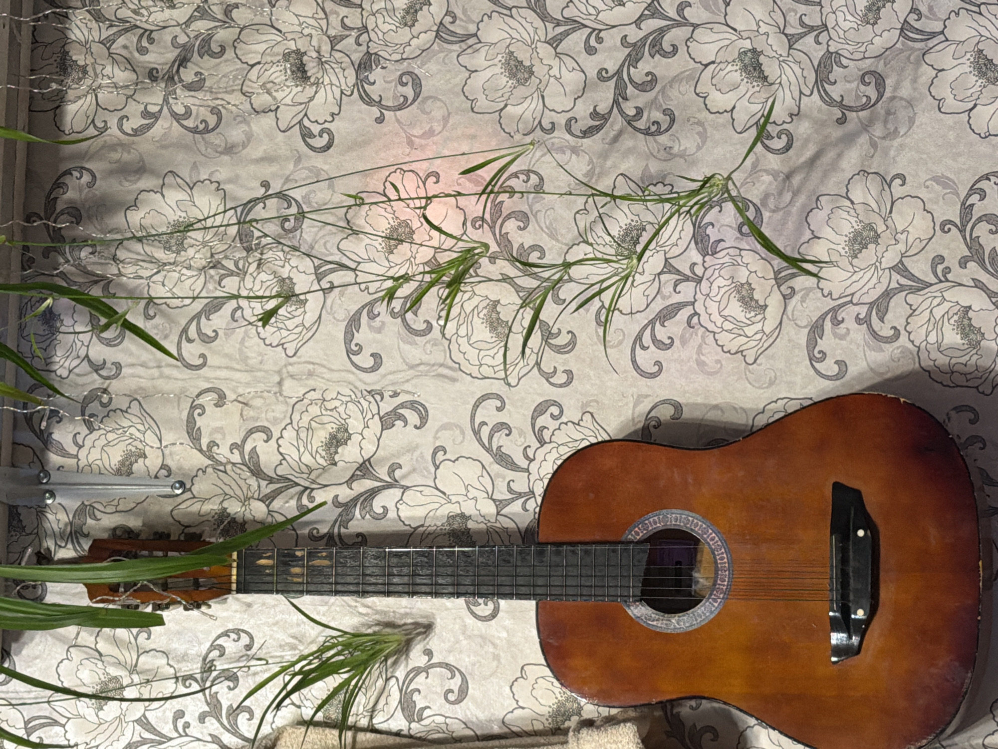 A brown acoustic guitar lies on a floral patterned surface, partially obscured by green, grass-like foliage. A metal shelf support is visible to the left. The photograph was taken indoors. There is no evidence to indicate that the image was taken in the city of Заболотово, Russia.