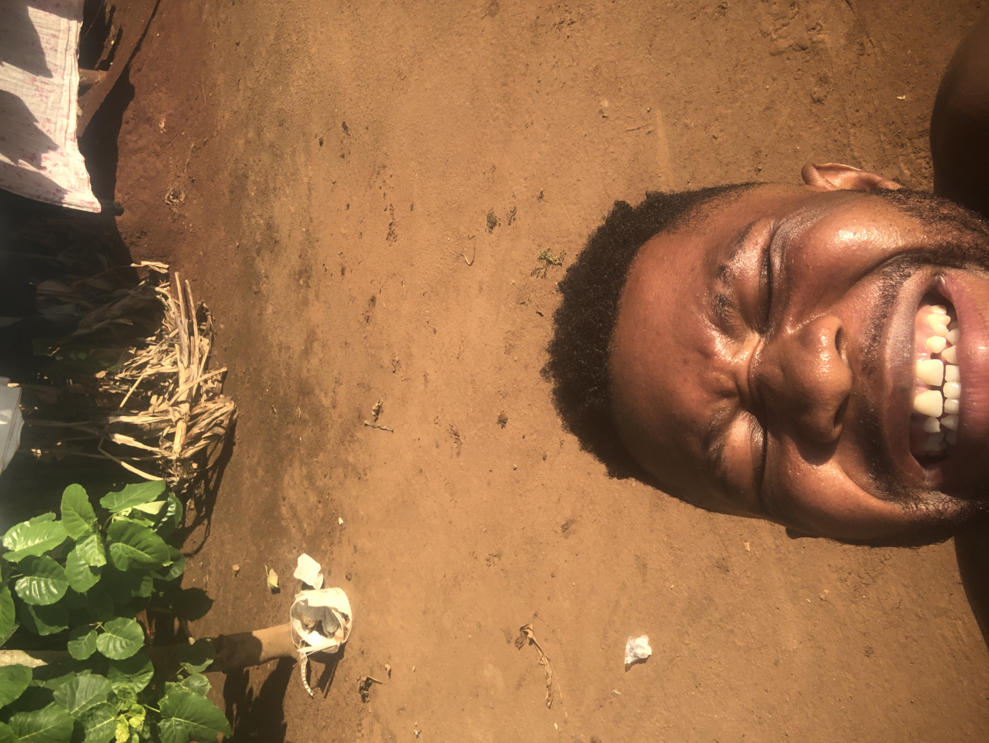 The image, rotated 90 degrees counter-clockwise, primarily features a dark-skinned man's face on the right side, caught in a moment of intense joy or laughter. His eyes are squinted shut or closed, and his mouth is wide open in a broad smile, revealing bright white teeth and pink gums. His skin appears shiny with perspiration or oil, reflecting direct sunlight. He has short, dark, curly hair.
The setting is an outdoor, unpaved area with dry, reddish-brown earth or dirt covering most of the ground. The terrain is somewhat uneven and scattered with small debris. In the lower-left portion of the frame, there are vibrant green plants with broad leaves. Adjacent to them, a substantial bundle of dried, straw-like material or stalks is visible, likely agricultural residue. Towards the center-left, a crumpled white object, possibly a plastic bag or container, rests on the ground beside a small wooden stick. A piece of white fabric with subtle pink patterns is partially visible in the top-left corner.
The scene is illuminated by strong, direct sunlight, suggesting it is daytime, possibly midday, given the distinct highlights and shadows. The man's expression conveys powerful positive emotion. There is no visible text in the image.