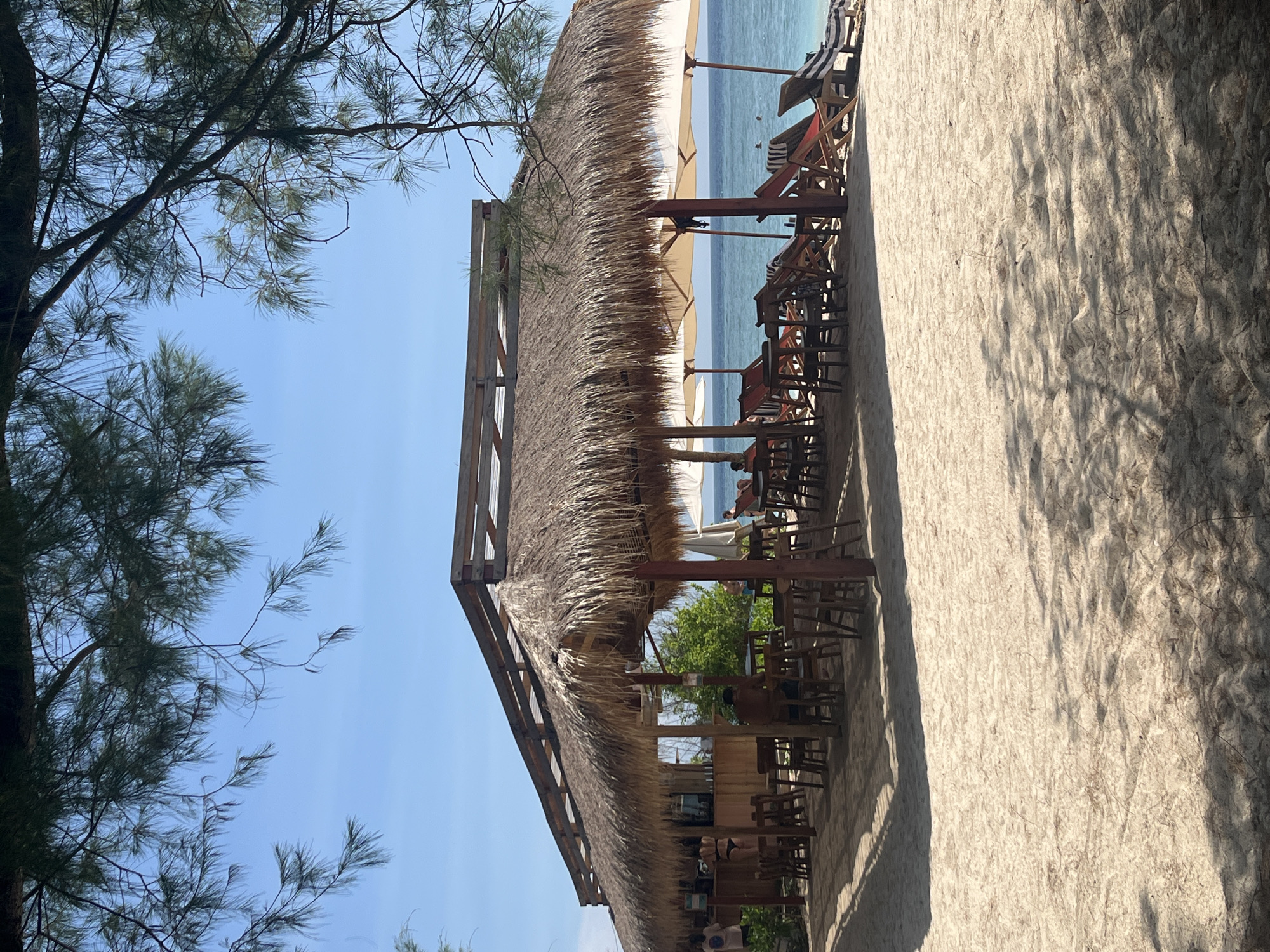 An outdoor beach bar with a thatched roof is situated on a sandy beach. The bar area features wooden tables and chairs. Beyond the bar, lounge chairs are arranged on the sand, some occupied by people. The ocean, with clear blue water, is visible in the background, with a few people swimming. The sky is clear and blue. The image is framed by the branches and leaves of a tree in the foreground.