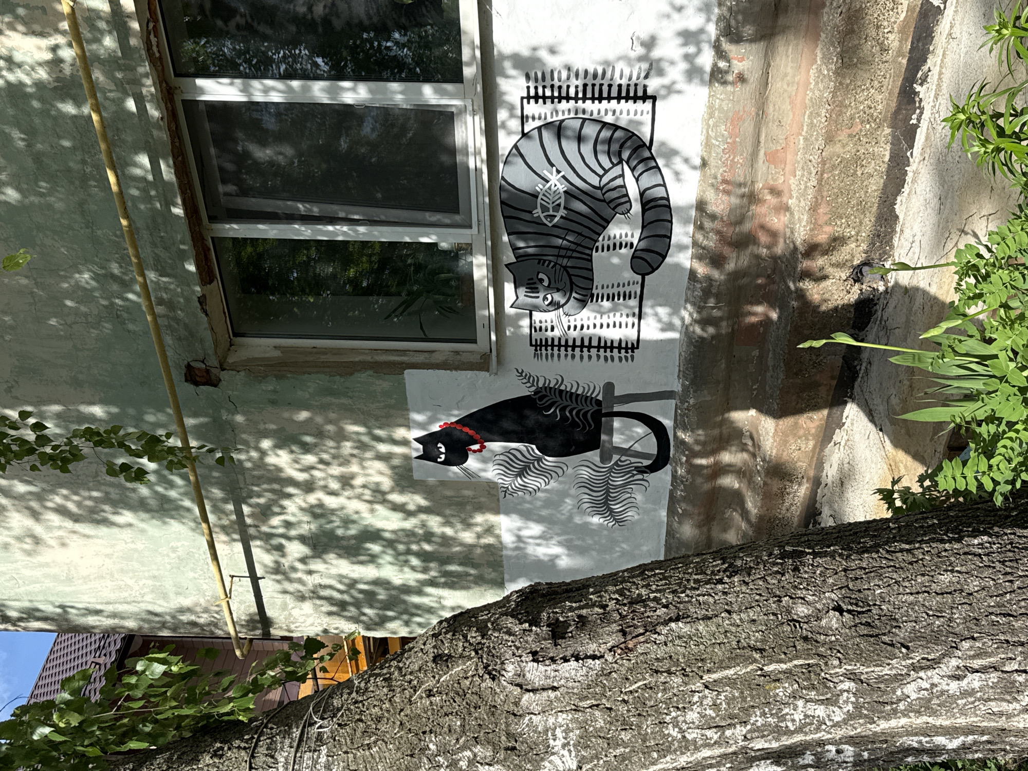The image shows a section of a building's exterior in Votkinsk, Russia. The building appears to be made of concrete, with a window and a rough, textured facade. There are two painted murals of cats on the wall. The upper cat is gray and striped, appearing to be hanging upside down on what resembles a rug. The lower cat is black with a red collar and is also portrayed on a rug-like design. A section of a tree trunk is visible in the foreground, partially obscuring the lower section of the building. Green plants are also present near the building's wall. Shadows from trees are cast across the building's surface.