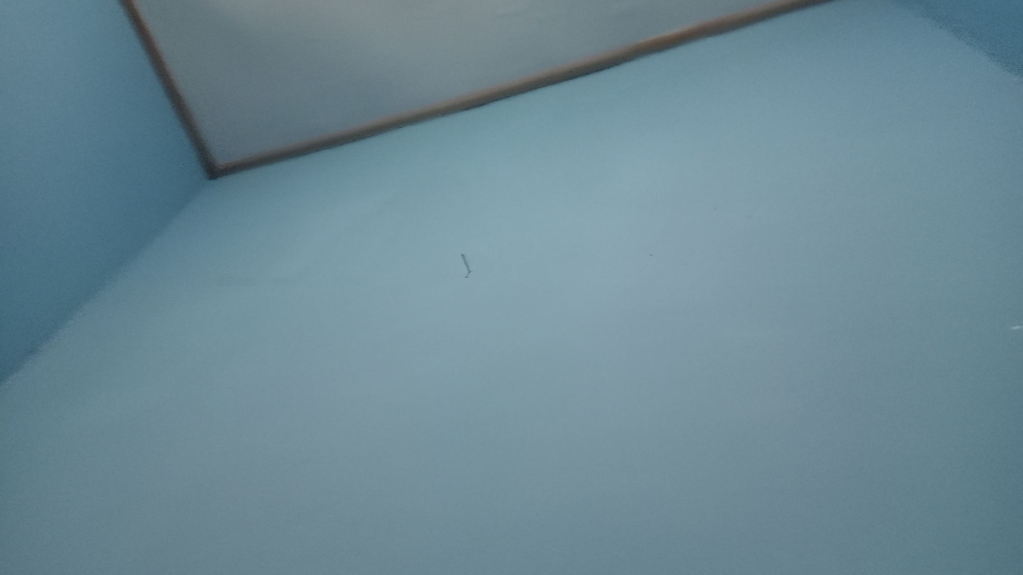 The image shows a pale blue wall with a slight discoloration in the center, appearing as a thin, curved dark line. In the upper left corner, the wall meets the ceiling, which is a lighter shade of gray. A narrow, light brown trim separates the wall and the ceiling. The lighting in the room is soft, casting a diffused glow on the surfaces. There are no people or any other objects visible in the frame. The scene suggests an interior shot of a room. The location in Denpasar, Indonesia, is not visually discernible from the image itself.
