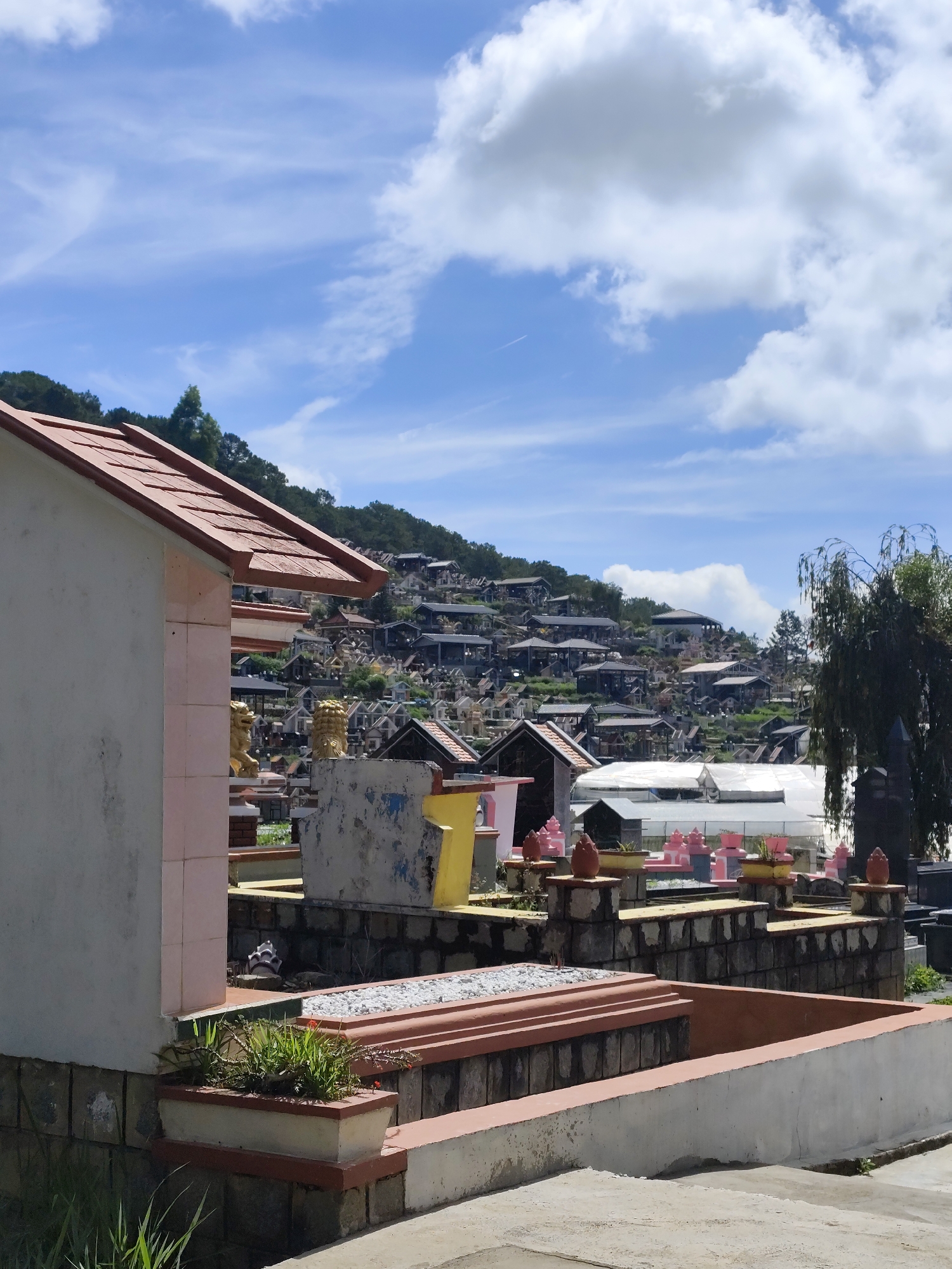 The image depicts a graveyard in Lâm Viên - Đà Lạt, Vietnam. The foreground features elaborate tomb structures and monuments with a mix of traditional and modern designs. Some are painted in bright colors like pink and yellow, while others are adorned with stone orbs. A small, low-lying plant grows in a container near a grave with small white stones on top. In the background, a hillside is densely packed with more graves and small structures, creating a tiered appearance. The sky is partially cloudy with patches of blue visible. A few trees are visible to the right. The entire scene suggests a well-maintained and visually striking cemetery.