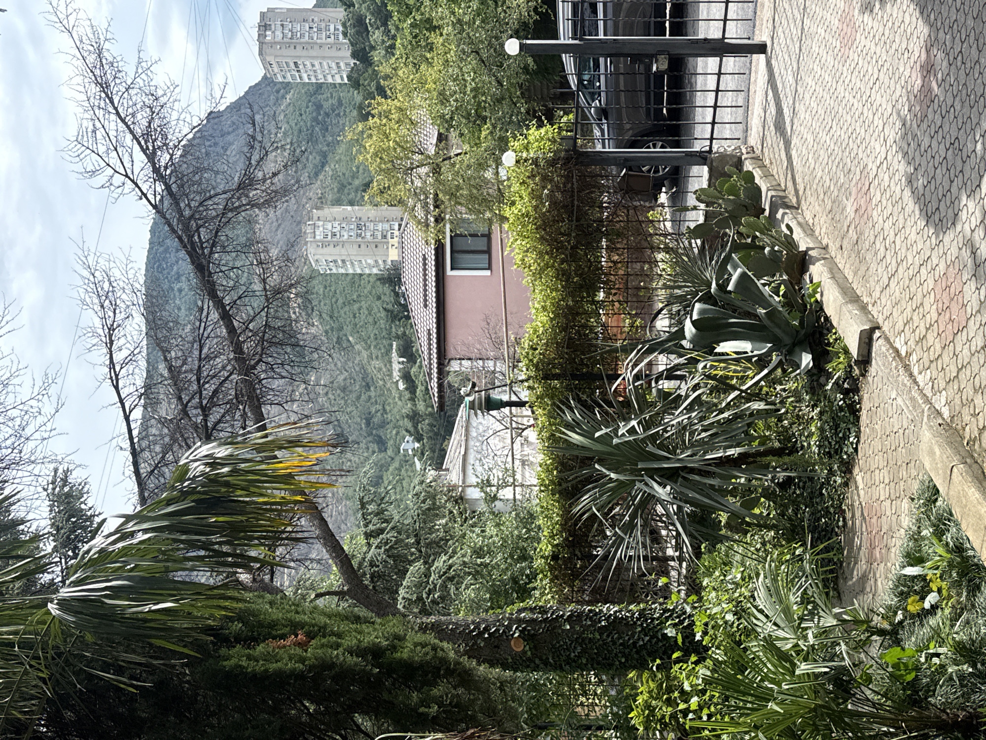 The image depicts an outdoor scene in a location with a mountainous backdrop. In the foreground, a paved walkway is visible, bordered by a concrete curb and a variety of plants, including palm trees, cacti, and other greenery. A black metal fence runs along the edge of the property, with a gate to the right. A dark-colored SUV is parked behind the fence, partially visible.
Behind the fence and plants, there are several buildings. A pink-tiled roof single-story house is prominent, with a white building visible behind it. Further in the background, two multi-story apartment buildings stand on a hillside covered in green vegetation. The sky is overcast with some visible power lines. The overall impression is a residential area in a hilly or mountainous region.