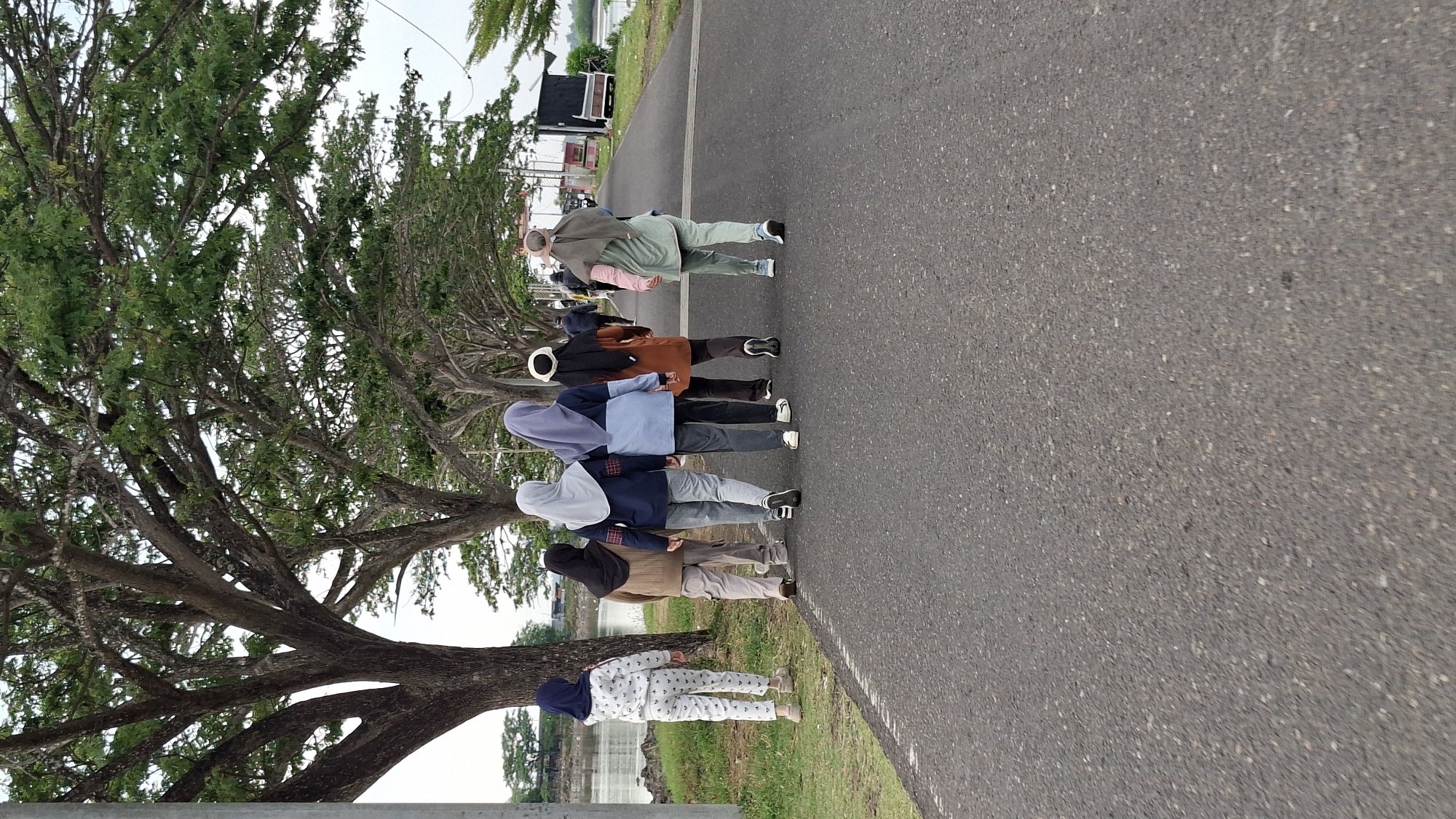 A group of six people, all appearing to be women, are lined up on a paved road beside a tree and a grassy area. They are all facing away from the camera and are in a plank position, indicating they are performing some form of exercise. The people are dressed in casual clothing, with some wearing headscarves, suggesting a Muslim community. The scene appears to be outdoors, with a cloudy sky visible in the background, implying it might be daytime. The environment suggests a park or a recreational area, possibly in Lhokseumawe, Indonesia, given the provided location context. There are no visible texts in the image. The overall mood seems to be one of physical activity and collective effort.