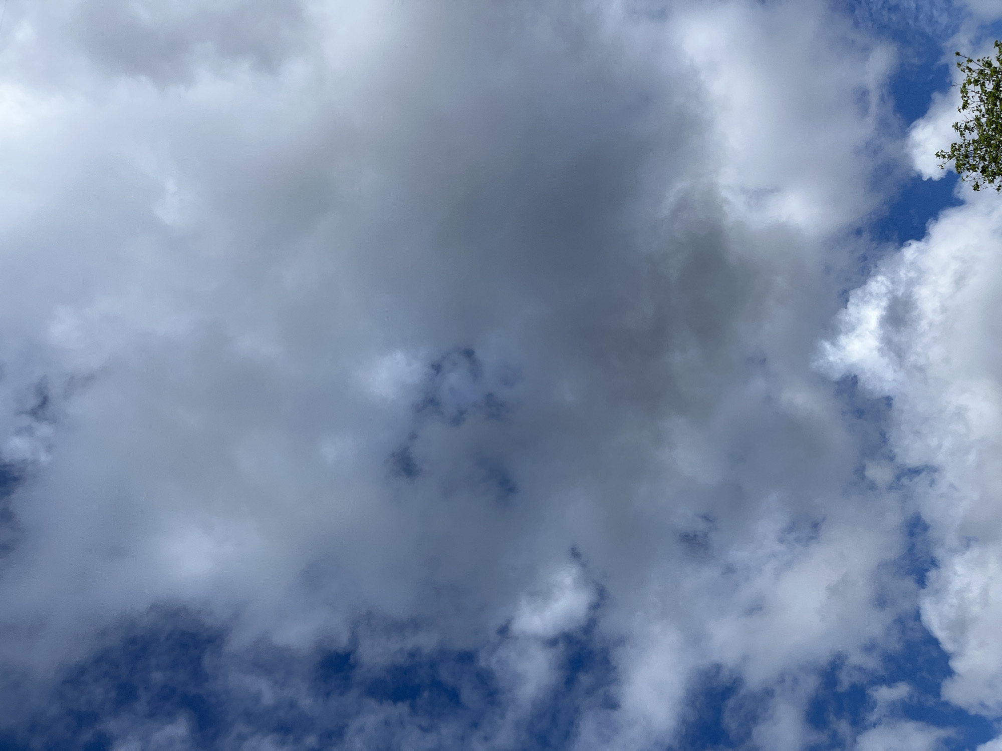 A low-angle shot captures a cloudy sky, where a mix of gray and white clouds dominate the frame. Patches of blue sky are visible between the clouds. In the upper right corner, there are a few tree branches with green leaves. Location: Unknown, Unknown.