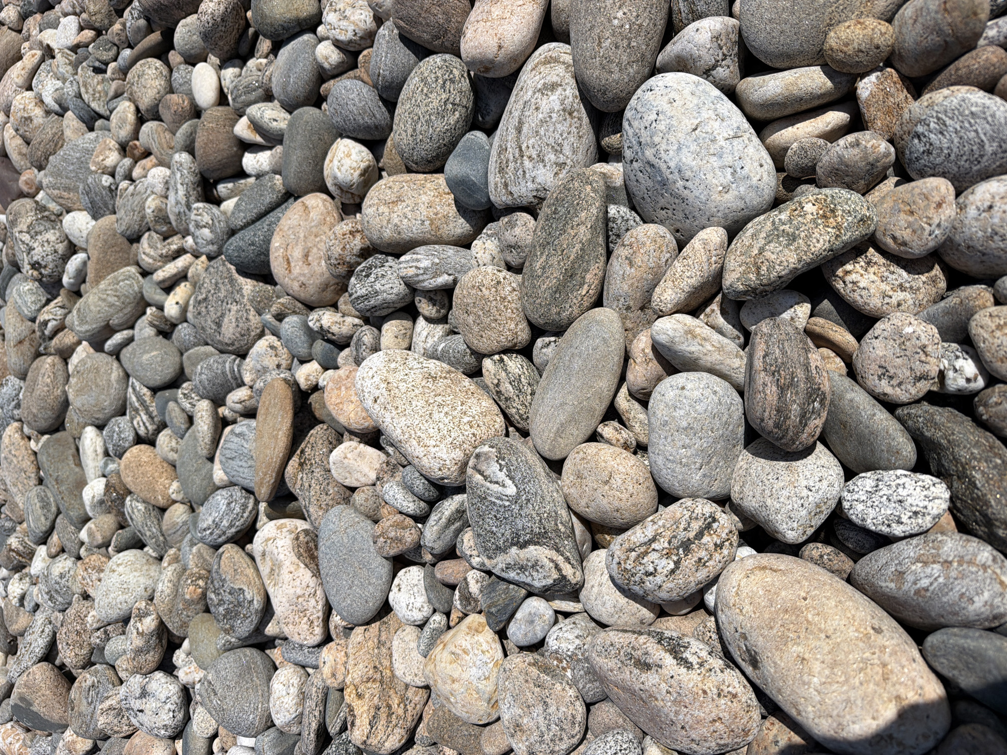 The image shows a close-up, overhead view of a dense collection of varied river stones. The stones are mostly round and oval-shaped, with a range of sizes from small pebbles to larger, fist-sized rocks. Their colors are predominantly earthy tones, including grays, browns, whites, and speckled patterns of black and cream. Some stones have smooth, polished surfaces, while others are rough and textured. Sunlight casts distinct shadows, highlighting the three-dimensionality of the arrangement. The image does not contain any identifiable elements that would suggest a specific location within Utulik, Russia, or any other city. There are no people, animals, structures, or other contextual clues present.