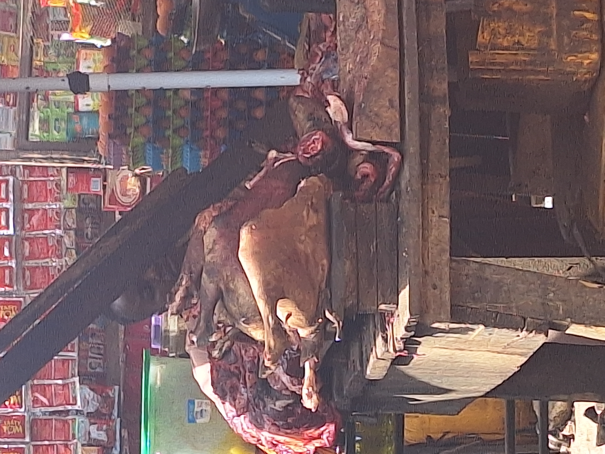 The image shows a butchered carcass hanging in what appears to be an open-air market or shop in Sabon Tasha, Nigeria. The carcass is prominently displayed on a wooden structure, surrounded by the general merchandise of the shop, including stacks of food products and other goods. The scene suggests a butcher shop operating within a bustling market environment.