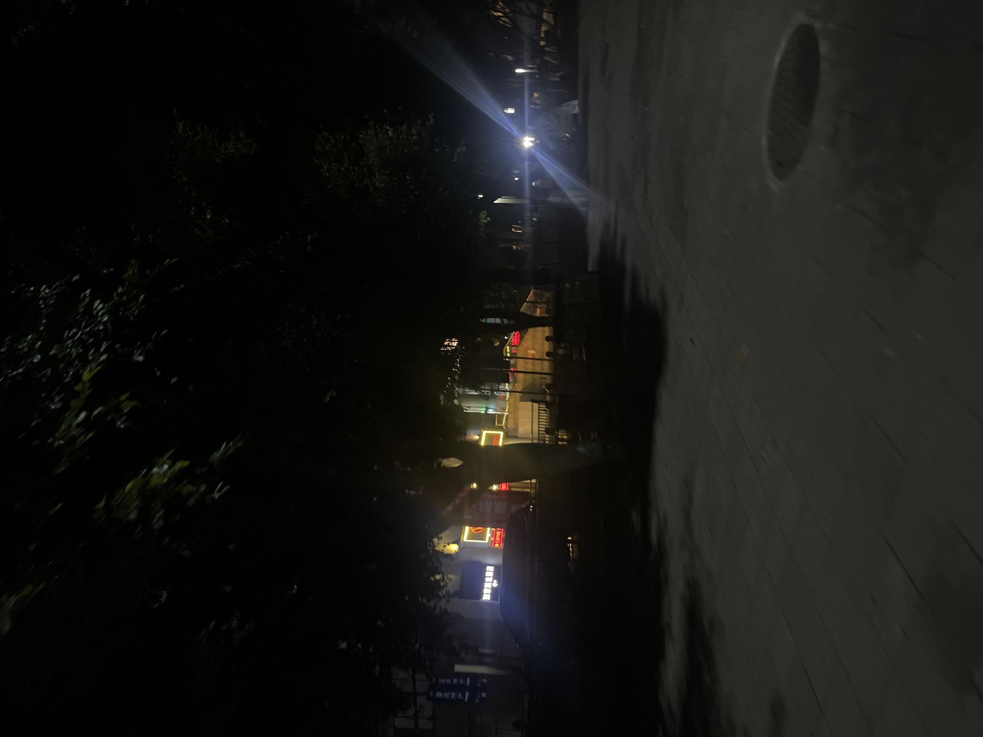 The image captures a nighttime urban scene consistent with an area in Jiulongpo District, China. The foreground consists of a dark grey paved surface, possibly a sidewalk or plaza, with a circular metal manhole cover visible in the lower right. In the midground, a dark-colored vehicle is discernible on the left, positioned in front of buildings. These buildings feature multiple brightly illuminated commercial signs with Chinese characters, predominantly in red and yellow neon, along with a partially visible blue vertical banner also displaying Chinese text. The upper portion of the frame is largely obscured by the dark, dense canopy of trees. To the right, intense artificial light sources generate prominent blue-white lens flares that cut diagonally across the image. Beneath the trees and near these light sources, several indistinct figures, presumed to be people, are vaguely visible as silhouettes or dimly lit forms, but their specific actions or interactions are not discernible due to the low light conditions and distance. The environment is characterized by artificial lighting against a dark setting, blending urban architecture with significant tree cover.
