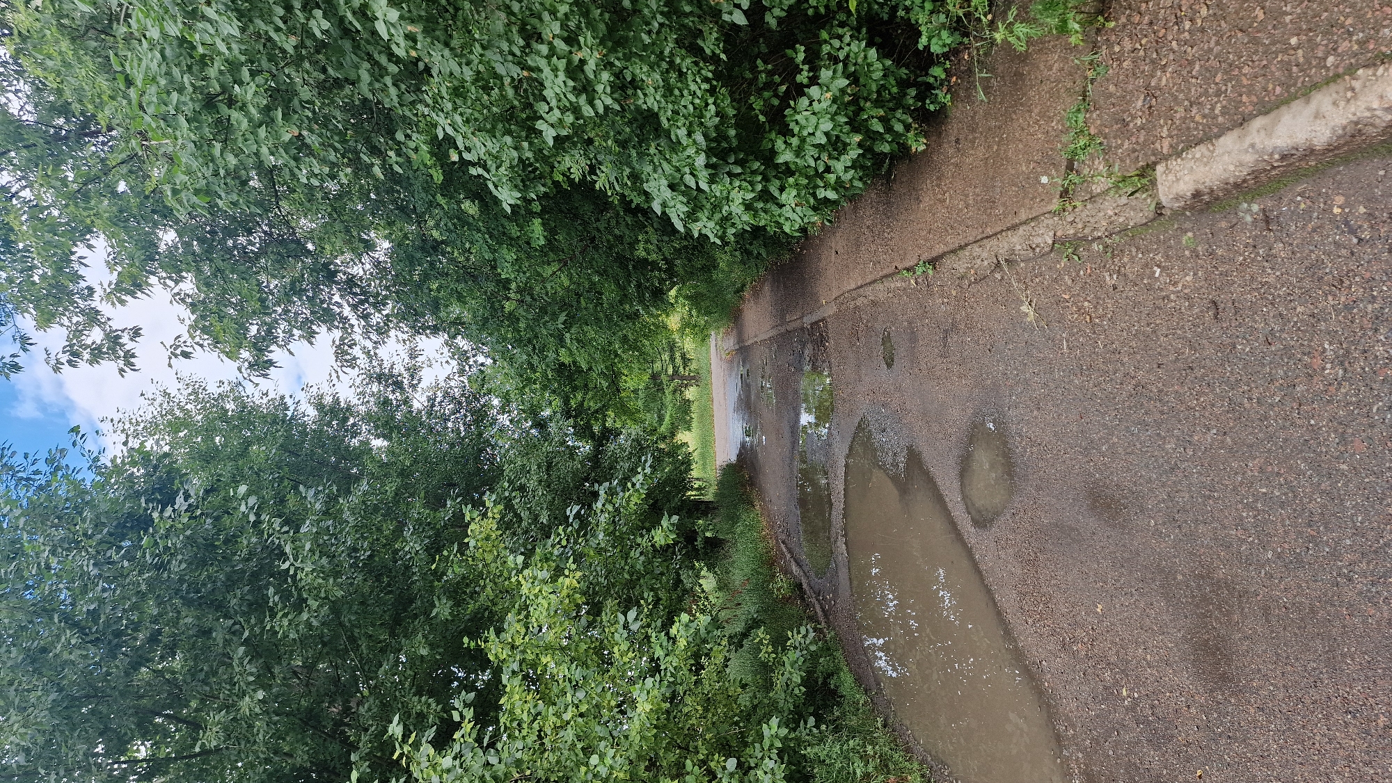 A paved road, with a concrete curb on the right, is lined with dense green trees on both sides, forming an archway overhead. The road surface is wet and shows several large puddles of standing water, suggesting recent rainfall. The weather appears overcast with patches of blue sky visible through the tree canopy. The scene is devoid of any people or vehicles.