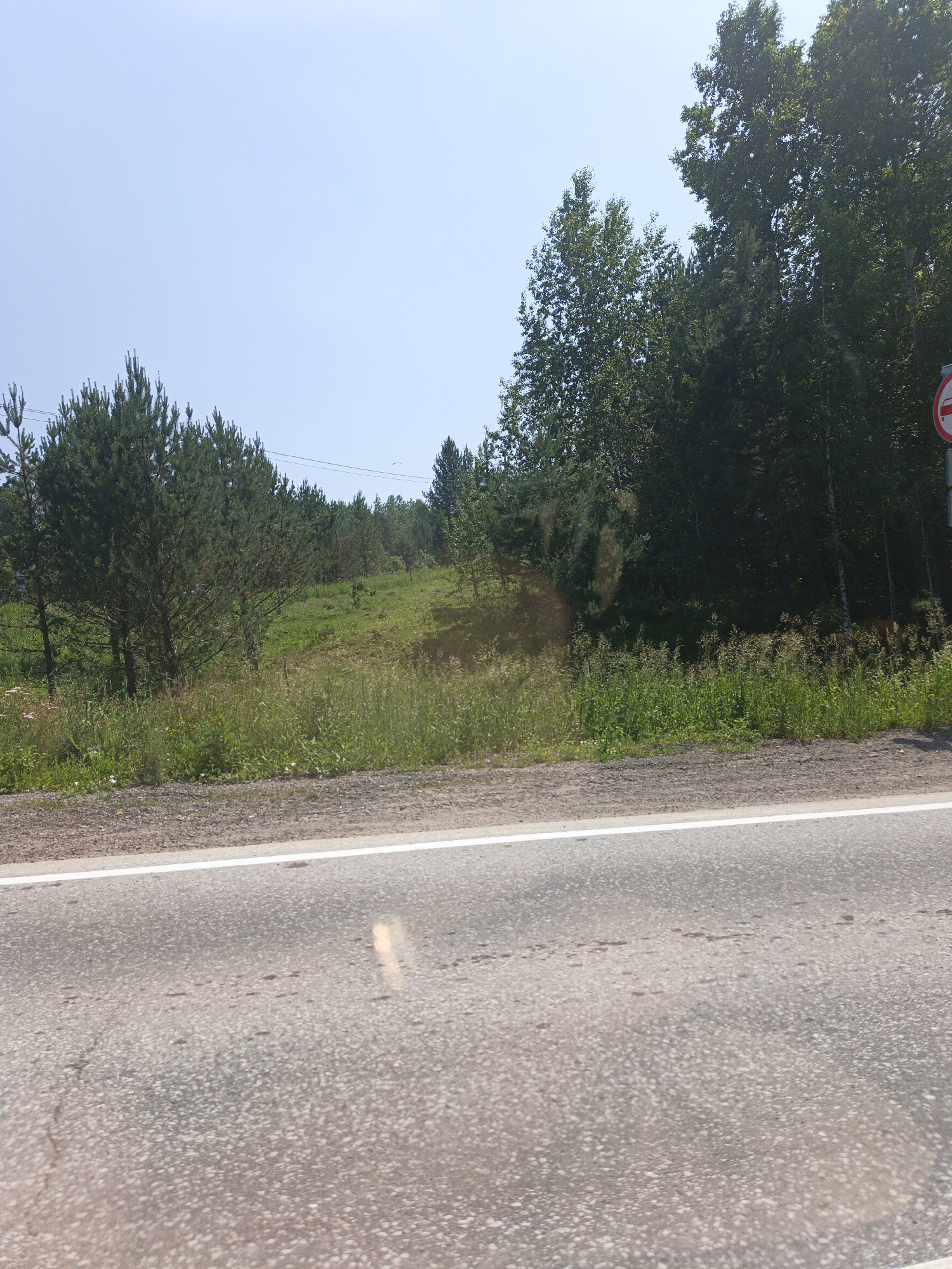 The image shows a roadside view with a paved road in the foreground. The road has a white line marking its edge. Beyond the road, there is a grassy embankment with scattered trees. A dense forest occupies the background, with the sky visible above. The location is identified as Targai, Russia. There are no people or specific actions depicted in the scene. The environment appears to be a rural or natural setting.