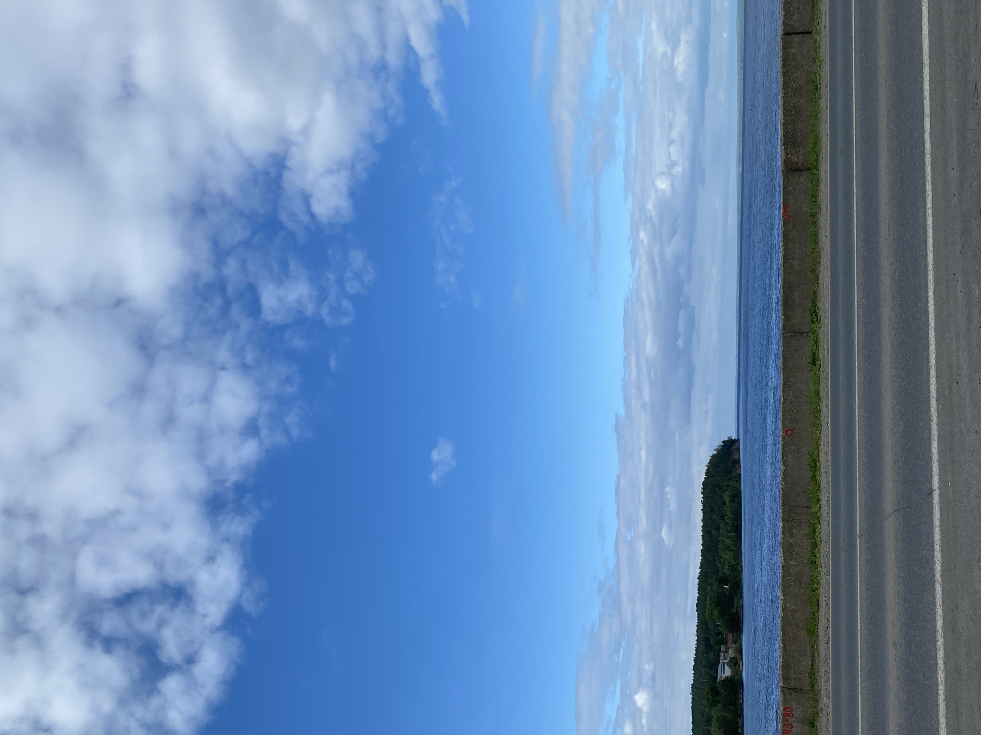This image depicts a waterfront scene with a road in the foreground. A grey concrete barrier separates the road from a body of blue water. Beyond the water, a lush green tree line forms the edge of a landmass, with a few scattered buildings visible amongst the trees. The sky above is a vibrant blue, populated by fluffy white clouds. There are no people or vehicles visible in the image. The location is identified as the waterfront road in Noviy, Russia, a settlement in the Vologda Oblast.