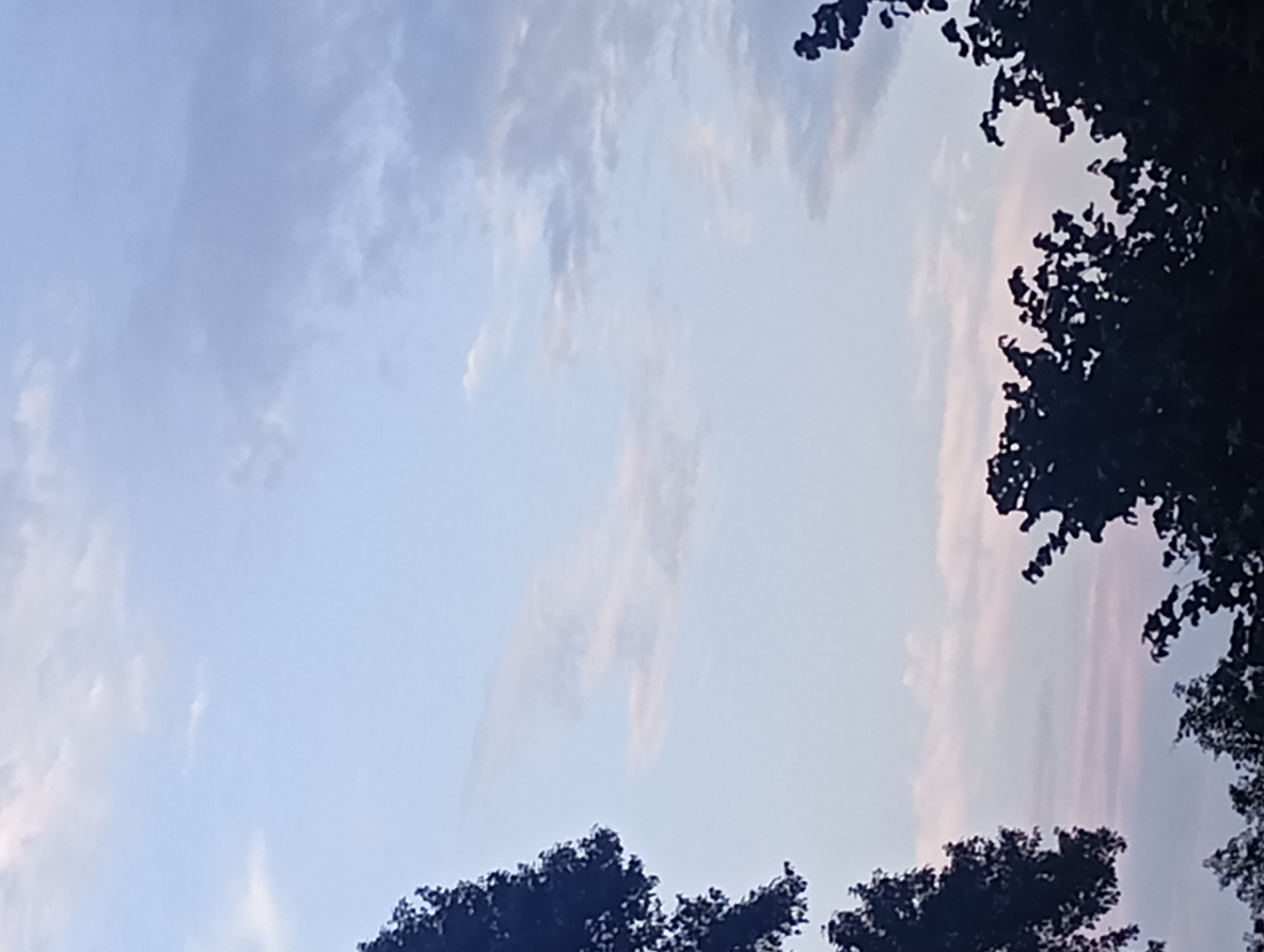 The image shows a sky with scattered clouds. Silhouettes of tree branches are visible in the foreground, framing the sky from the left and right sides. The lighting suggests it might be dawn or dusk. There are no people or specific identifiable structures visible in the image. The scene is natural and does not provide any specific geographical markers for Şirvanlı, Azerbaijan, other than being a general outdoor scene.