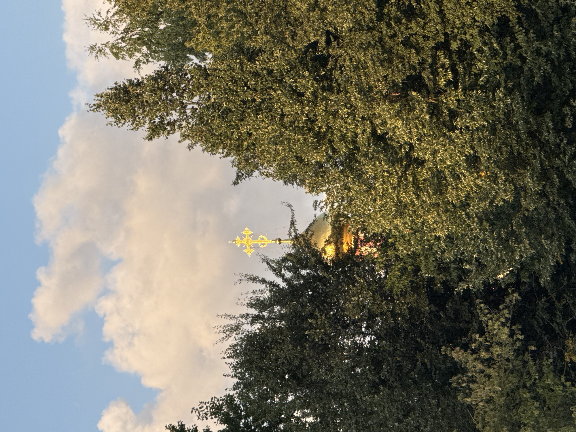 A gilded Orthodox Christian cross stands prominently atop a green dome, partially obscured by the lush foliage of mature trees. The sky above is a soft blue, dotted with luminous, cream-colored clouds illuminated by the golden hour sunlight. The scene is captured from a low angle, emphasizing the height of the dome and cross against the backdrop of the sky. The overall impression is one of serene beauty, with the natural elements of trees and sky framing the religious symbol. It is impossible to determine the exact location within Moscow, Russia, from the provided image.