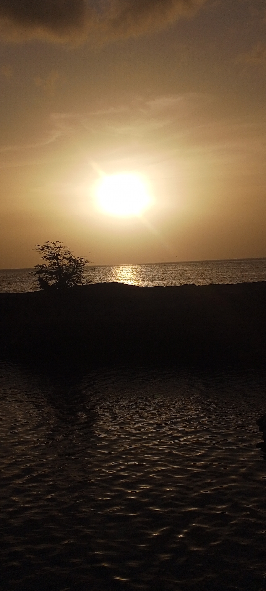 The image captures a sunset over the sea in Juan Griego, Venezuela. The sun, a bright orb with emanating rays, is positioned in the upper center of the frame, casting a warm golden light across the sky and reflecting on the water's surface. In the foreground, a dark, silhouetted landmass creates a stark contrast with the luminous sky and sea. A lone, windswept tree stands on this dark landmass, its branches starkly outlined against the twilight. The sea is calm, with gentle ripples visible on its surface. The overall atmosphere is serene and tranquil, characteristic of a coastal sunset.