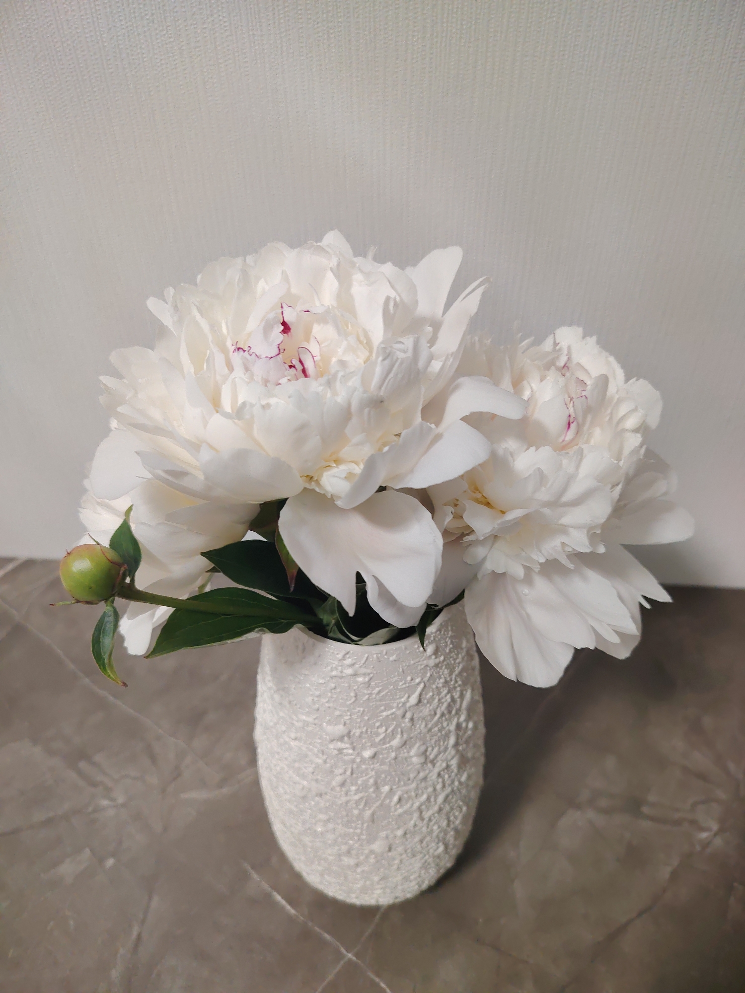 A bouquet of white peonies is arranged in a textured white vase, which sits on a grey, marbled surface. The background is a textured off-white wall. A single green bud is visible on the left side of the bouquet. The lighting is soft and diffused, casting a gentle shadow on the surface. There are no people present in the image. The image does not provide any information about the city of Yekaterinburg, Russia.