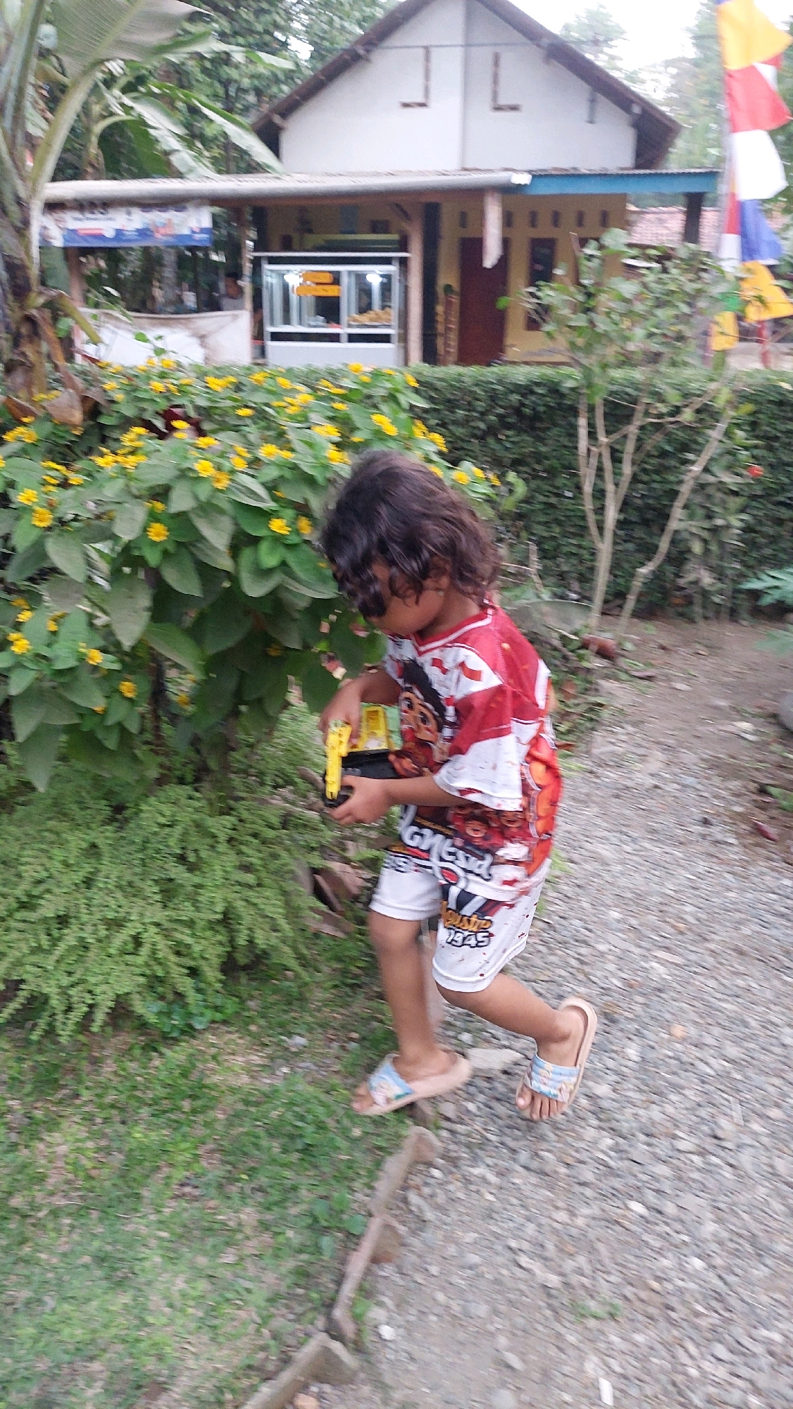 In Ampelsari, Indonesia, a young child with dark, curly hair, wearing a red and white t-shirt with a graphic print and white shorts with a graphic print, stands on a gravel path. The child is holding a yellow toy truck and appears to be playing with it. To the left of the child is a large bush with small yellow flowers, and further left, a banana tree. In the background, a modest house with a white facade and a dark roof is visible, with a covered outdoor area in front. A small display case is situated under this cover. In the far right of the image, colorful flags, possibly for a celebration, are displayed. The overall environment suggests a rural or semi-rural setting.