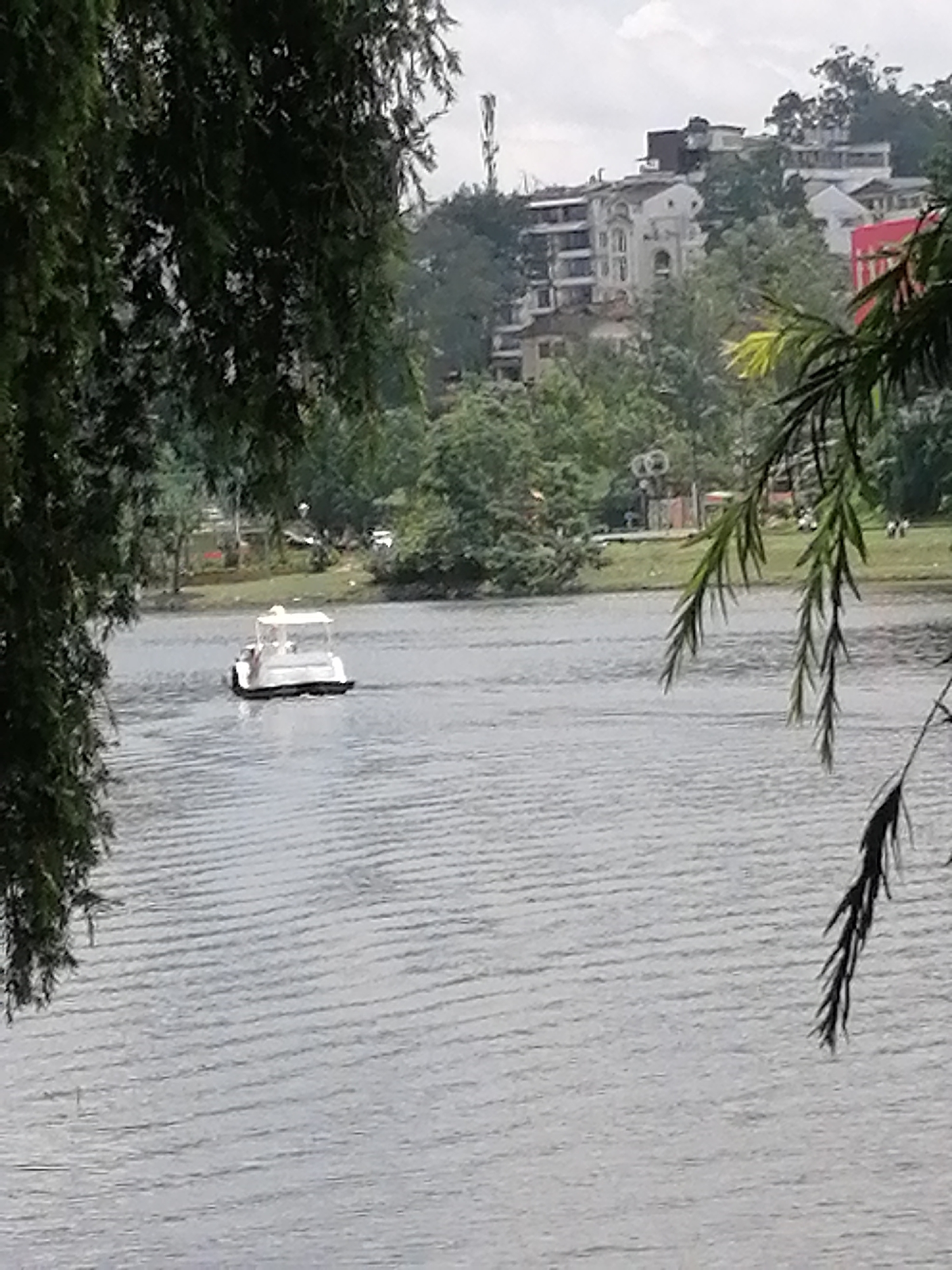 The image depicts a serene lake scene, likely Xuan Huong Lake in Da Lat, Vietnam, judging by the architecture visible in the background and the prevalent lush greenery. In the foreground, dark foliage from trees partially obscures the view, framing the shot. The lake itself is calm with a gentle ripple pattern across its surface.
Dominating the middle ground is a small, white, paddle boat with a canopy. It appears to be moving away from the viewer, with its rear end more prominently displayed. Two individuals can be seen inside the boat, though their features are indistinct.
The background reveals a sloping hillside densely covered with trees. Perched on this hillside are several buildings, showcasing a mix of architectural styles, some appearing modern and others with a more classic, colonial influence, which is characteristic of Da Lat's cityscape. The sky above is overcast, contributing to the diffused lighting of the scene. On the far shore, a grassy bank is visible with a few scattered trees and what appear to be small structures. The overall impression is one of a tranquil, possibly tourist-oriented location, offering recreational activities like boating.