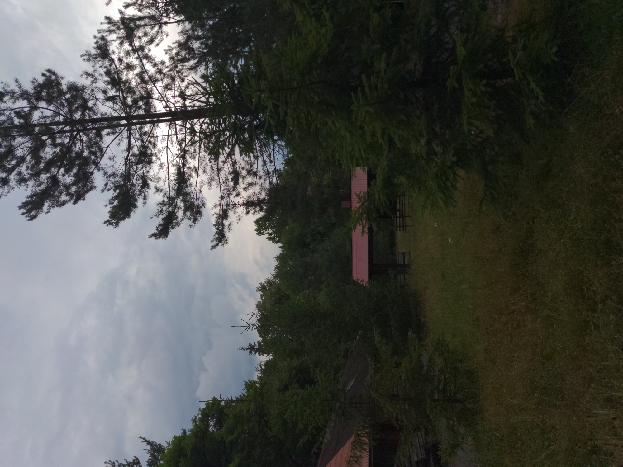 The image depicts a somewhat overgrown area with scattered structures and dense foliage under a cloudy sky. In the foreground, tall pine trees and evergreen branches dominate the right side, with a pathway of dry grass and weeds extending into the midground. To the left, a portion of a building with a red roof and a dark, possibly wooden, facade is visible. Further back, a covered picnic shelter with a red roof and dark supporting posts stands in an open, grassy area. Several wooden benches or picnic tables are situated beneath this shelter. The background is filled with a dense, dark green forest, with varying tree heights. The overall impression is of a slightly neglected, natural outdoor space, likely within a park or recreational area. The location is identified as Сонячне, Ukraine.