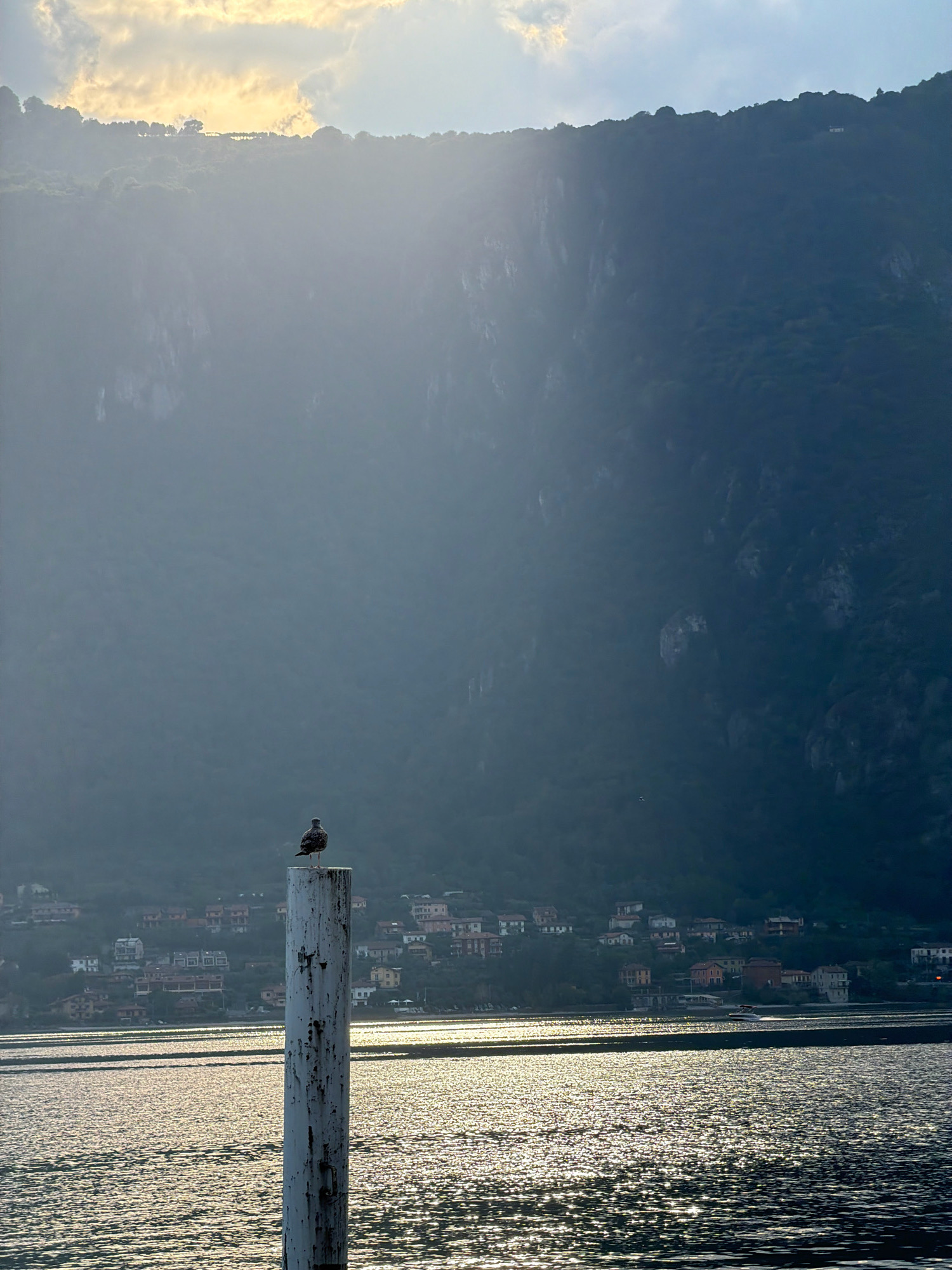 A lone bird stands on a weathered wooden post in the foreground of a wide shot of Lake Como. The post is roughly in the center of the frame, and the bird is perched on its top. The bird is facing to the right. The lake is in the lower half of the frame, with sunlight glinting off its surface, creating a shimmering effect. In the background, a hillside covered in trees and dotted with houses rises steeply from the lake. The houses are a mix of colors, with red-tiled roofs visible on many of them. The hillside recedes into a hazy, mountainous backdrop, with the sky above showing a mix of clouds and sunlight. The location is identified as Mandello del Lario, Italy, along Lake Como, likely taken from the water's edge or from a boat. The time of day appears to be late afternoon or early evening, given the warm light and the angle of the sun. There are no people visible in the image.
