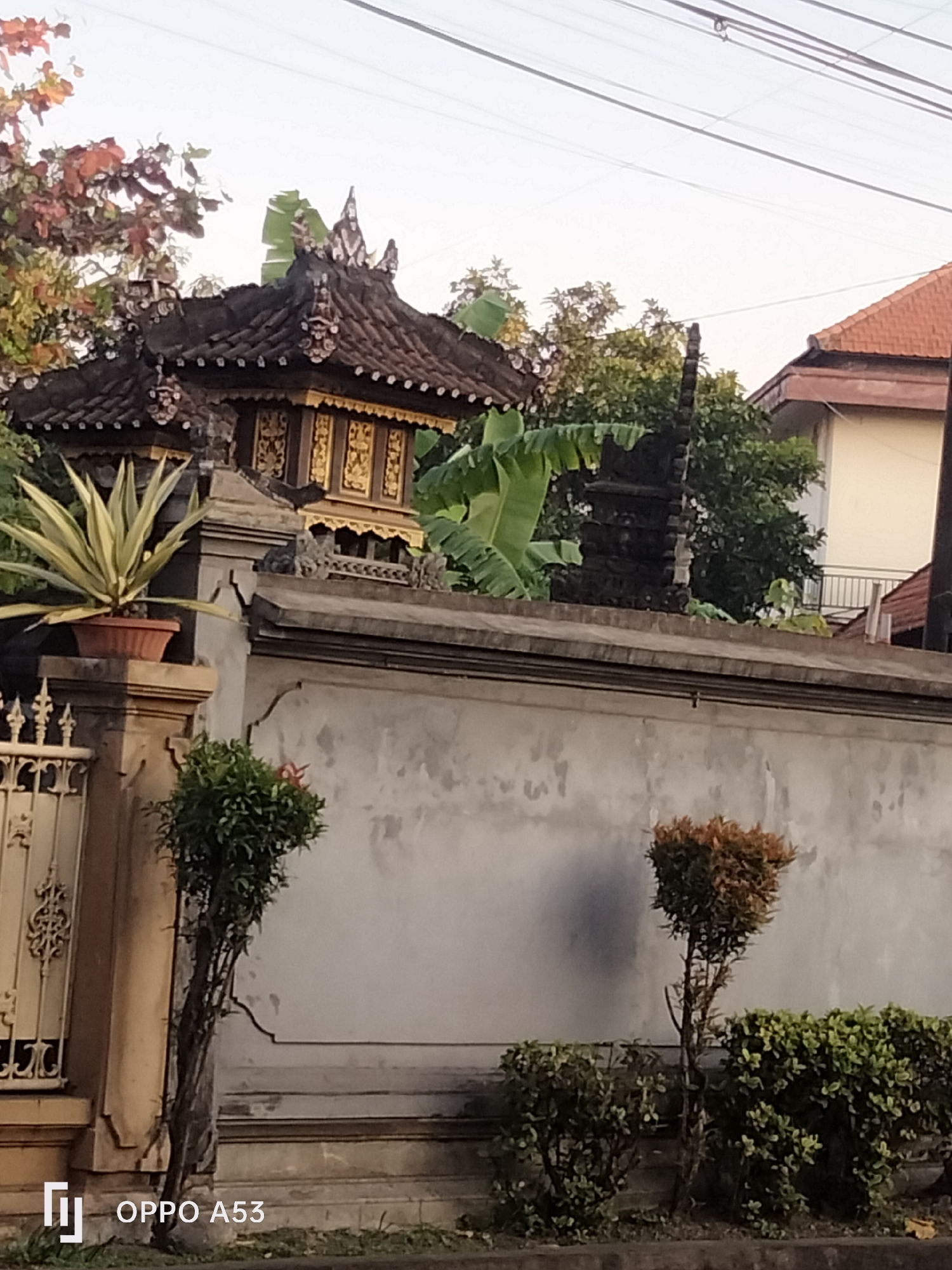 The image depicts a detailed view of a Balinese compound entrance in Denpasar, Indonesia. In the foreground, a light-colored concrete wall runs horizontally, with decorative moldings near the top and bottom. Two small, stylized trees, one with reddish-brown foliage and the other lush green, are planted in front of the wall, flanking a narrow dirt path. To the left of the wall, a cream-colored pillar supports a terracotta pot containing a spiky, variegated plant. Adjacent to this pillar is an ornate, pale yellow metal gate with intricate scrollwork.
Behind the wall, traditional Balinese architecture is evident. A multi-tiered dark brown roof, adorned with decorative carvings and white accents, covers a small structure with golden, ornate panels. This structure is likely a shrine or temple gate. Tall, broad green leaves, possibly from a banana tree, are visible behind the shrine. Further back, a two-story building with a red-tiled roof and pale yellow walls is partially obscured by trees. Overhead, a network of dark wires is strung across a pale sky. The overall impression is one of a well-maintained traditional Balinese residence or place of worship.