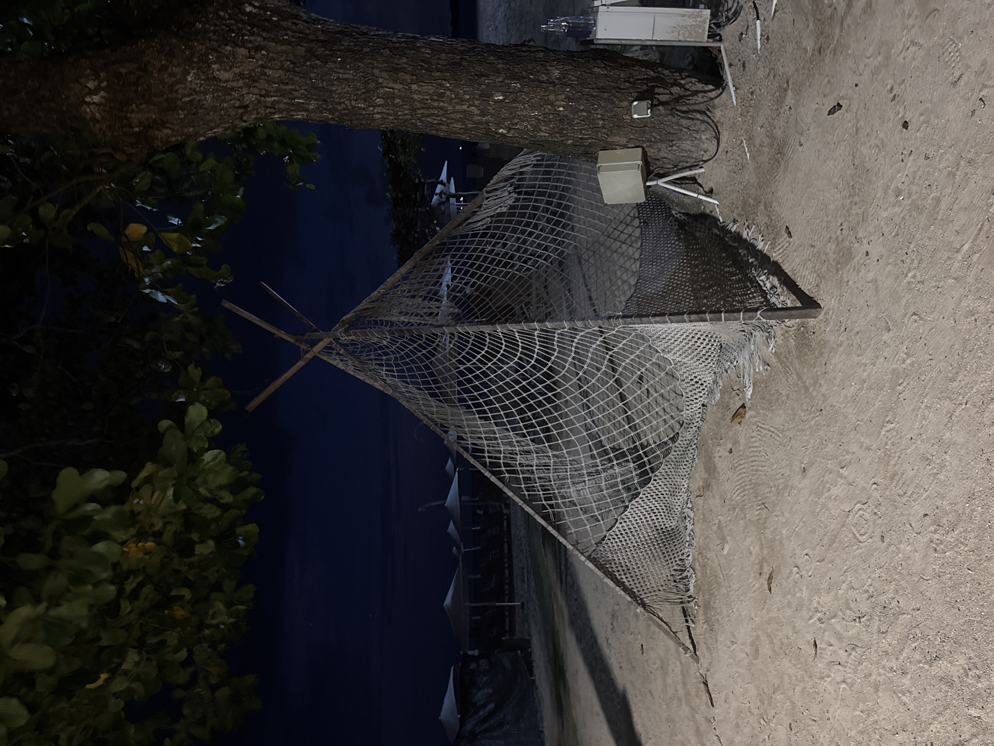 The image, taken at night, appears to be located near a beach in Denpasar, Indonesia. A mesh-like structure in the foreground is positioned in front of several pointed parasols in the background. The mesh structure is secured with wooden posts at the peak of the construction, and some electronic devices are mounted to the large tree on which the mesh is secured. To the lower left of the mesh construction are some green leafy branches. The ground is a light shade, and footprints can be seen in the sand.