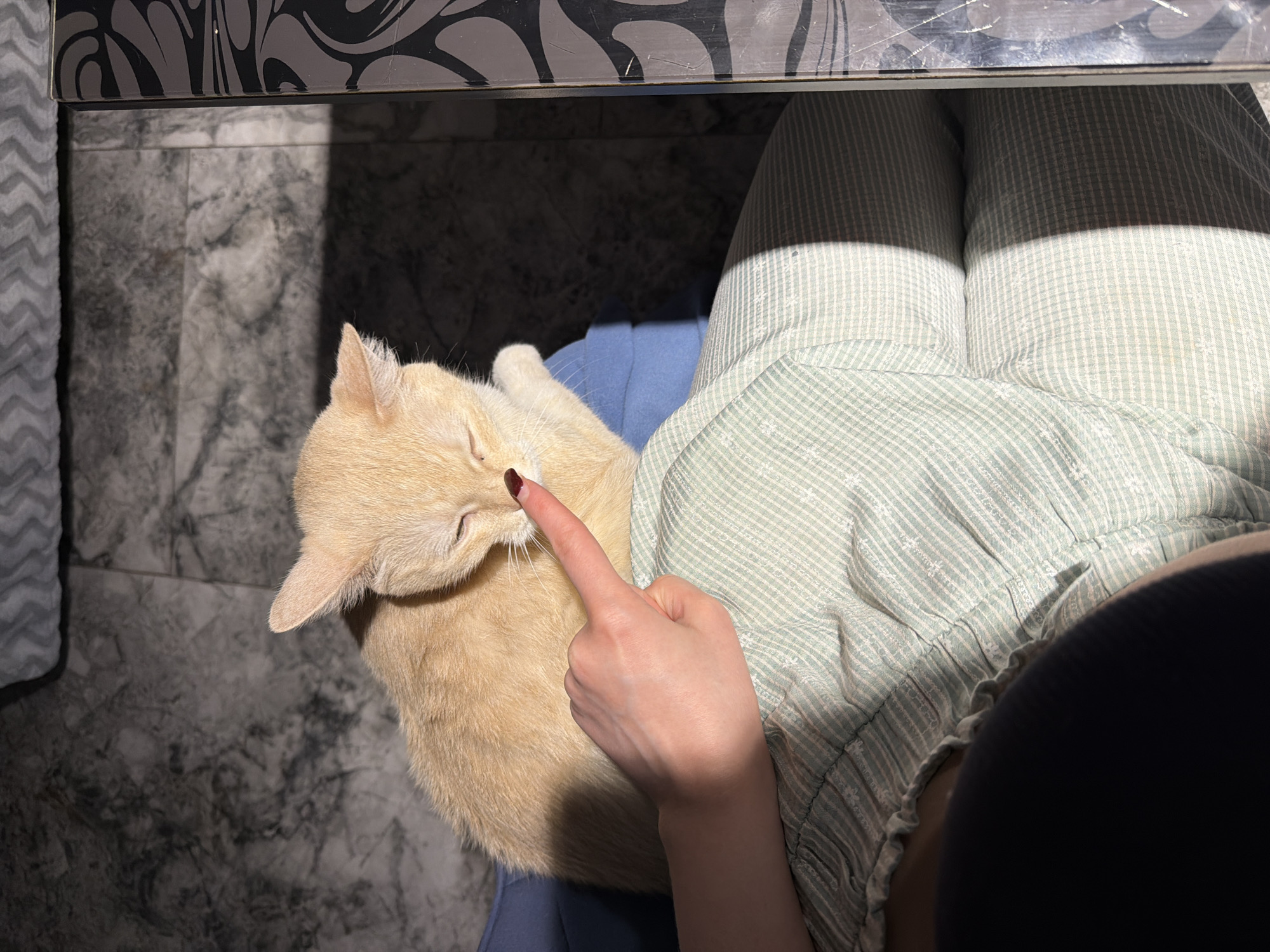 A medium shot from an overhead perspective captures a light orange cat lying on a person's lap. The person, whose face is not visible, is wearing light blue pants underneath a light green and white striped top with ruffles at the bottom. Their right hand is visible, with a finger extended towards the cat's face, touching its nose. The cat's eyes are closed. The background features a marbled grey and white floor, and a dark grey and black patterned table or surface is visible at the top of the frame. The scene is indoors, with light casting a shadow across the person's lap. There is no indication of the city of Rossiyskiy, Russia in the image.