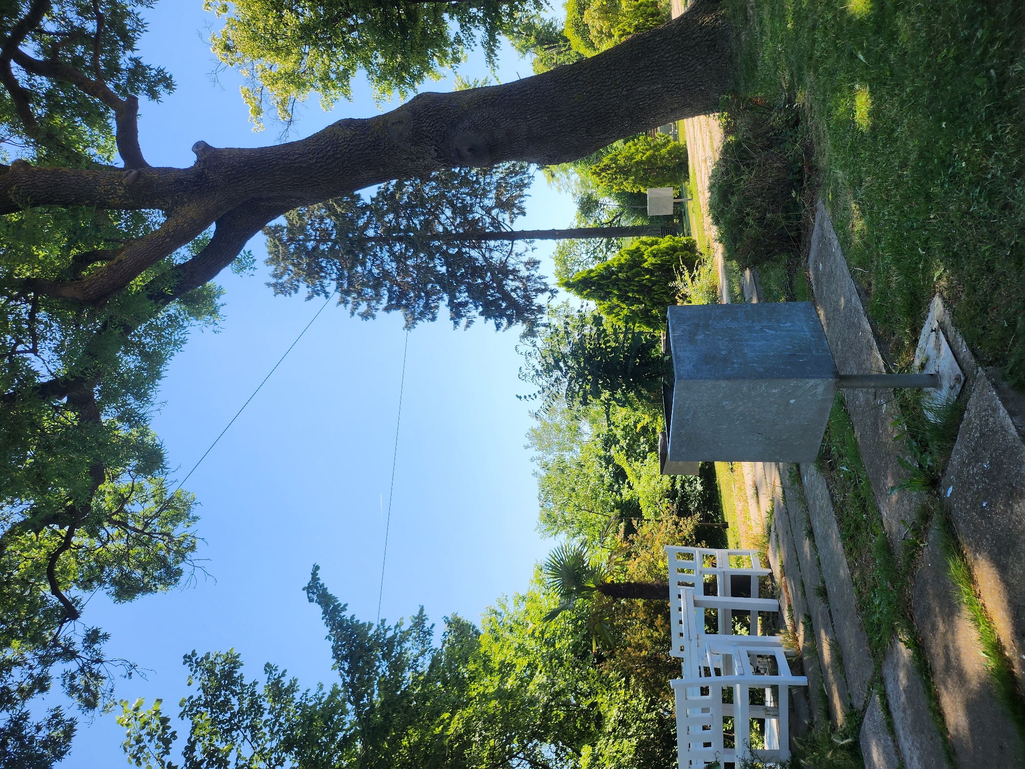 The image depicts a sunlit outdoor area with lush greenery under a clear blue sky. In the foreground, a modern, gray metal trash receptacle stands on a concrete base, positioned on a paved pathway composed of large, square concrete slabs interspersed with patches of grass. To the left of the pathway, a white wooden table and four chairs are set up, appearing ready for use.
The pathway leads into a landscaped garden with a variety of trees and shrubs. A tall, mature tree with a thick, gnarled trunk dominates the right side of the frame, its branches extending towards the sky. To the left, a palm tree stands amidst other leafy trees and bushes. In the middle ground, several conical evergreen shrubs are visible, and a slender, tall pine tree rises in the background. The overall environment suggests a park, garden, or outdoor seating area within a tranquil setting. The presence of a trash receptacle and arranged seating implies it is a public or semi-public space. The lighting indicates it is daytime, likely late morning or early afternoon, with bright sunlight casting shadows. The location is identified as the city of Tsarevo, Bulgaria, suggesting a coastal or southern European environment given the palm tree and abundant vegetation.