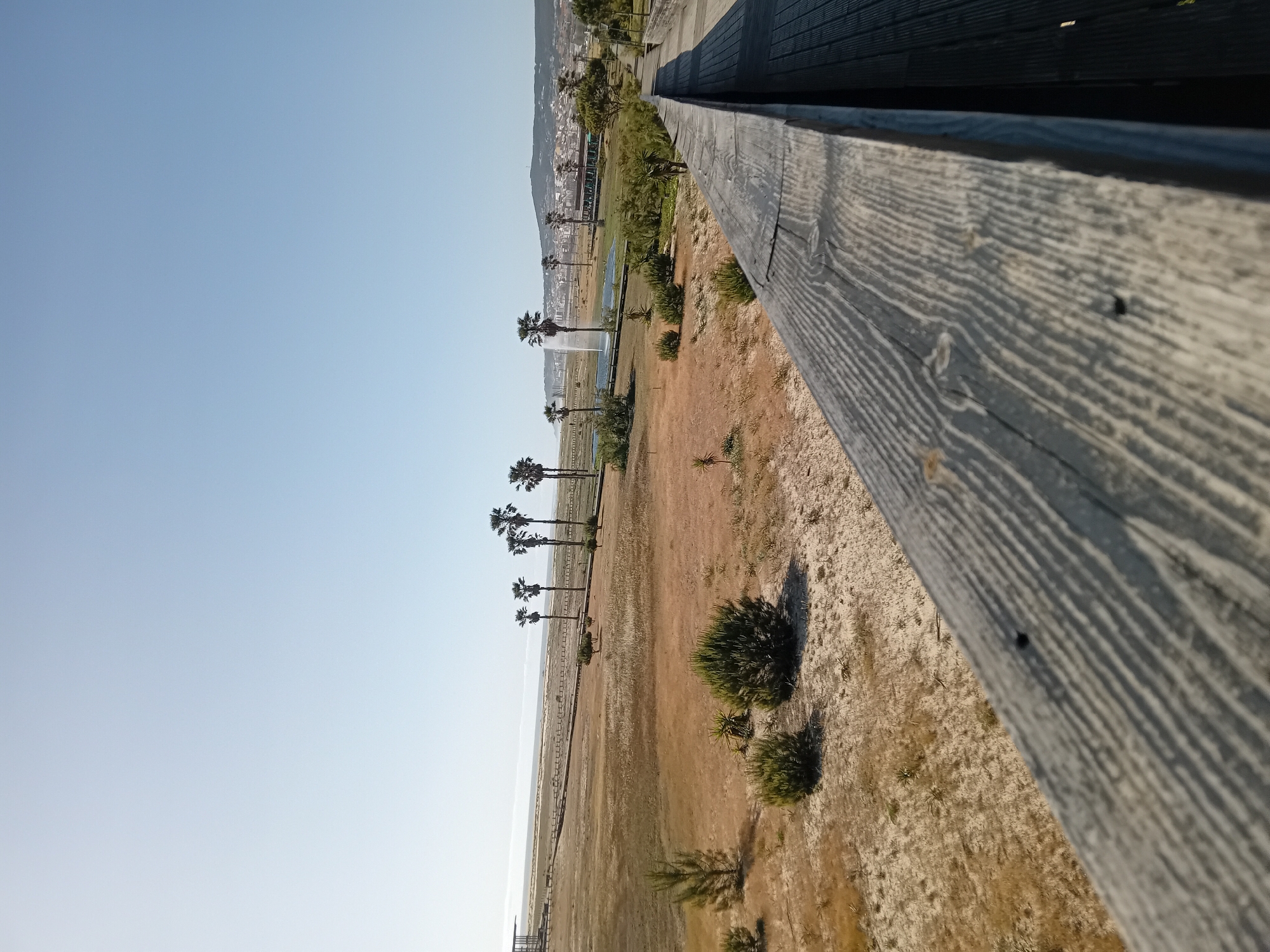 The image captures a wide outdoor landscape from an elevated viewpoint, with a prominent wooden railing in the foreground. The scene is bathed in clear daylight under a bright, cloudless blue sky.
The foreground is dominated by a weathered wooden railing, displaying distinct grain patterns, which runs diagonally from the upper right to the lower right of the frame, suggesting the viewer is looking over it from a balcony or elevated structure.
Beyond the railing, the midground features a broad expanse of dry, sandy-colored ground, interspersed with patches of green, low-lying scrub and bushes. A series of tall palm trees stretches across the middle of the landscape, forming a line. Alongside these trees, a body of water is visible, where a fountain actively sprays a plume of white water into the air.
In the distant background, a town or city is nestled at the base of a large, verdant mountain. Buildings can be discerned, indicating an urban or residential area. The overall weather appears sunny and calm, with a clear blue sky covering the left portion of the image. The time of day seems to be mid-day or afternoon, given the bright illumination. There is no visible text in the image.