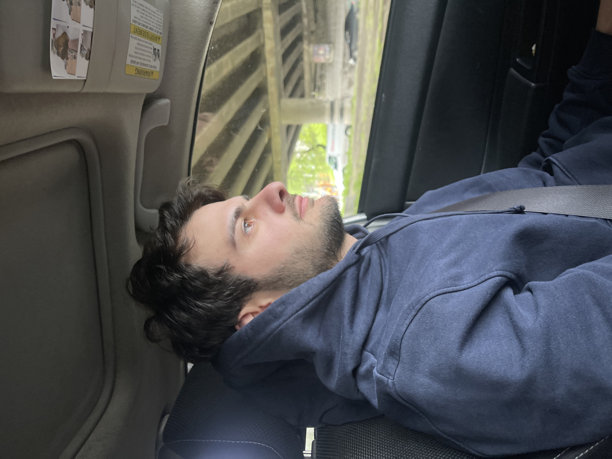 A man in a navy hoodie and black seatbelt reclines in the back seat of a car. He has brown hair, a beard, and is looking out the window. The window shows an elevated road or bridge, with glimpses of trees and other vehicles visible through the gaps. The interior of the car includes a beige visor and door panel. The scene appears to be in Tbilisi, Georgia, indicated by the road infrastructure and vegetation visible outside the car window.