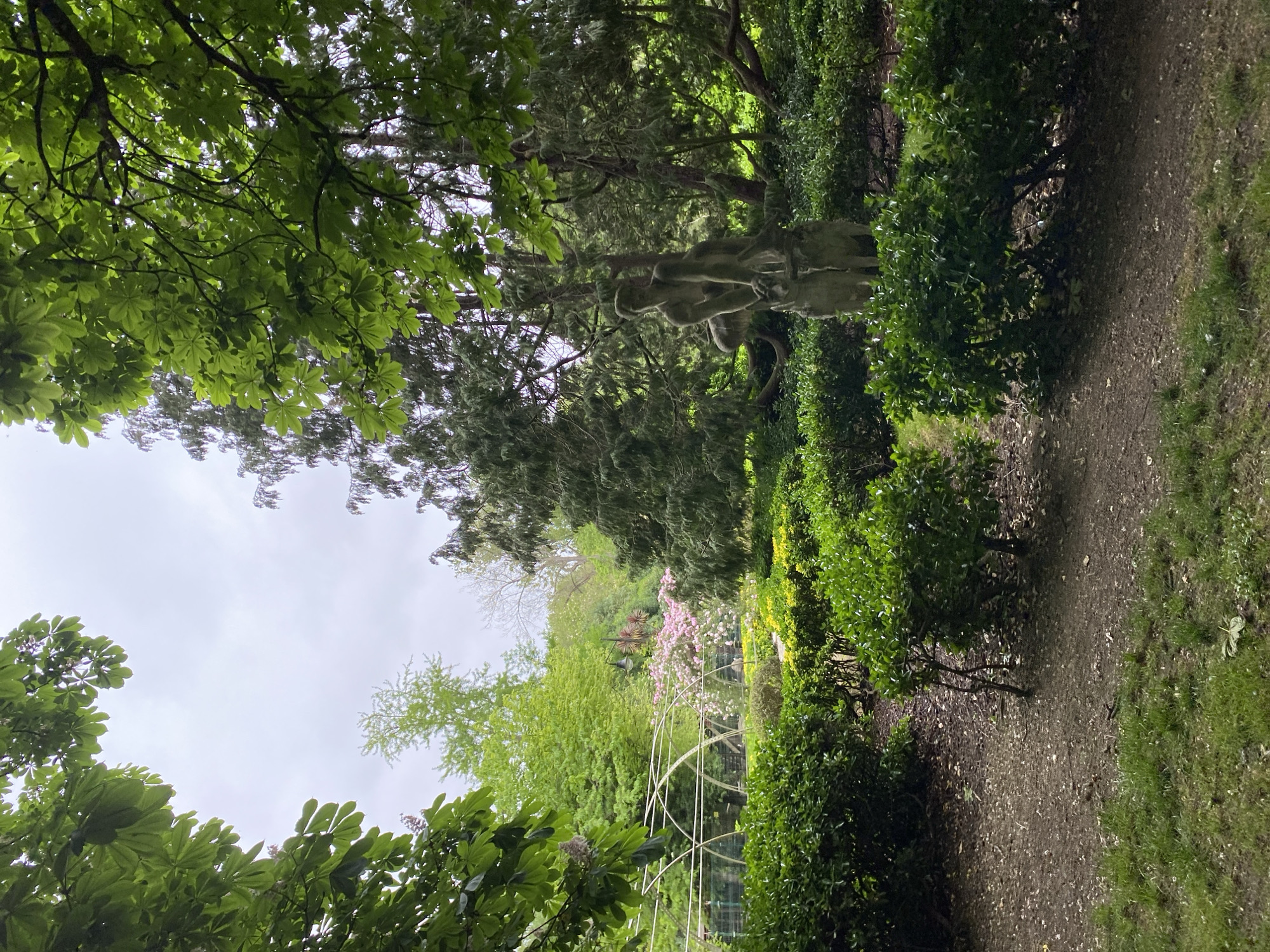 The image captures a scene in the Jardines de la Reina, located in Gijón/Xixón, Spain. A narrow dirt path winds through lush greenery, with meticulously trimmed hedges lining its edge. To the left and above, the scene is framed by the dense canopy of trees with broad leaves. Amidst the trees stands a statue of figures. Further down the path, an arched white structure stands out. The sky is overcast, providing soft, diffused lighting.