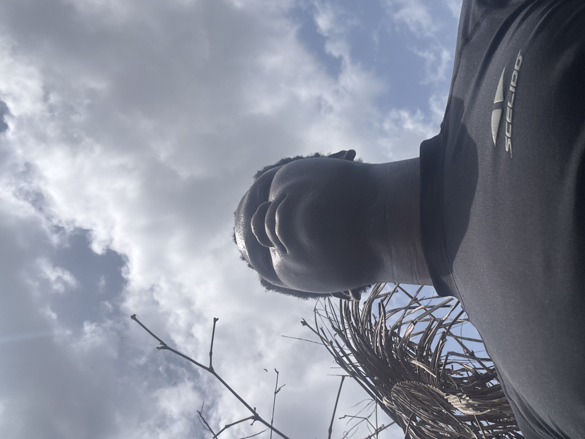 A low-angle shot captures a person wearing a black shirt with the word "SCELIDO" vertically displayed. The sky, filled with clouds, is visible behind the person. Dry, twiggy branches and a dried palm frond appear in the foreground, partially obscuring the view. The location is inferred to be in Aboh, Nigeria, although no specific landmarks confirm this. The person appears to be looking up.